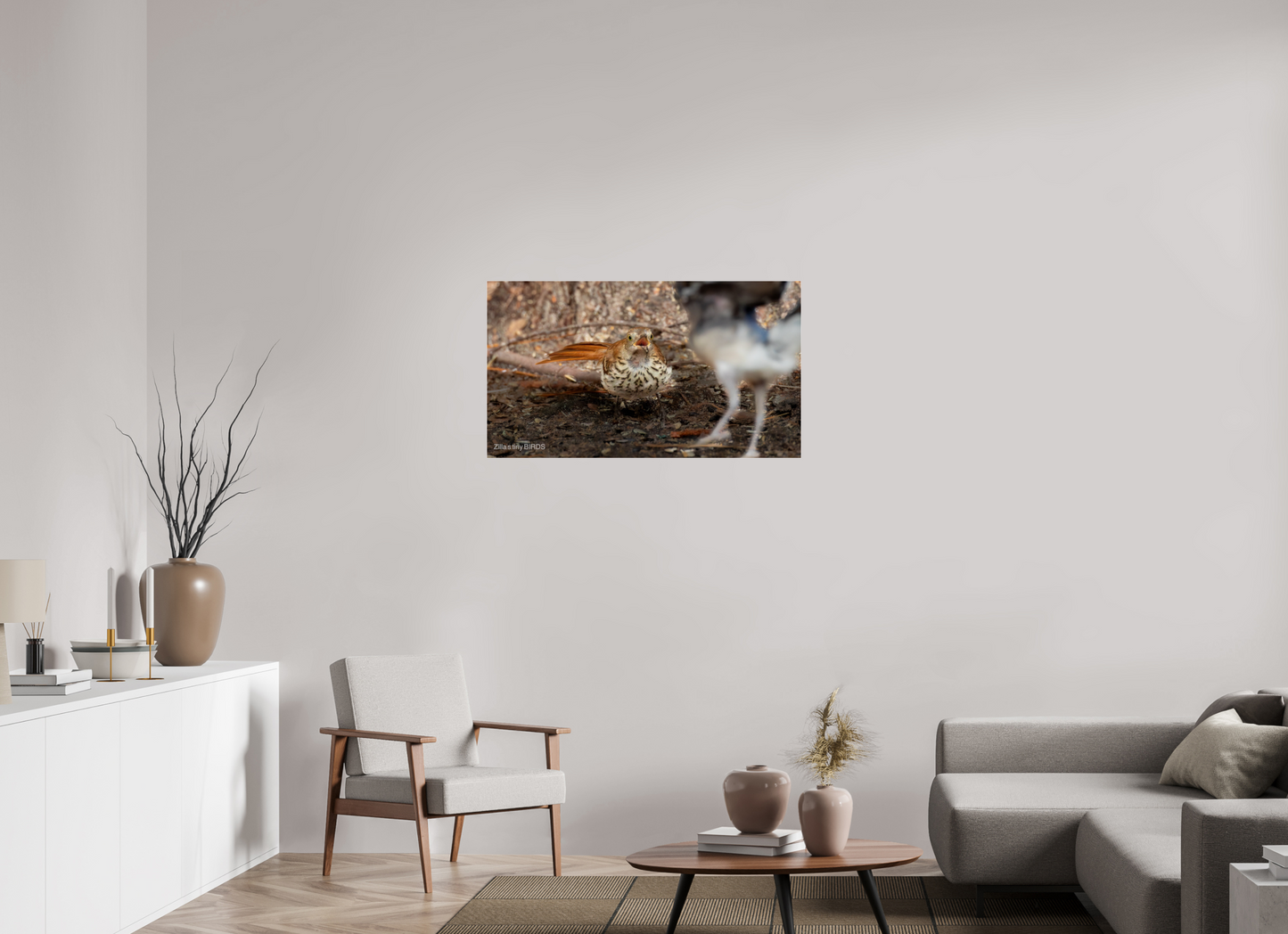 40 x 22.5″, Photo Print Under Acrylic Glass Zillas Zoom Image 383