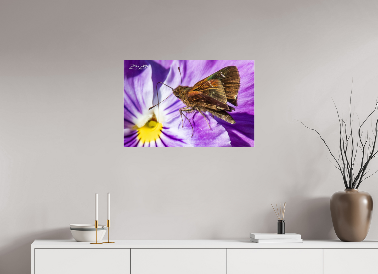 30 x 20″, Photo Print Under Acrylic Glass Zillas Zoom Image 59