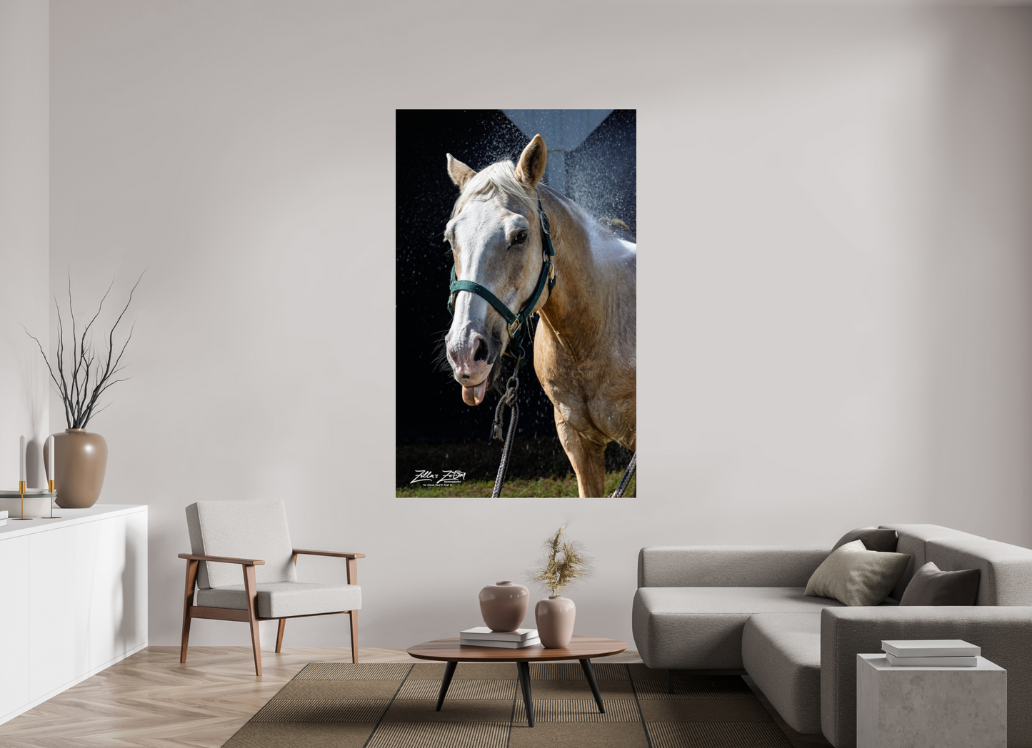 47 x 76″, Photo Print Under Acrylic Glass Zillas zoom image 156