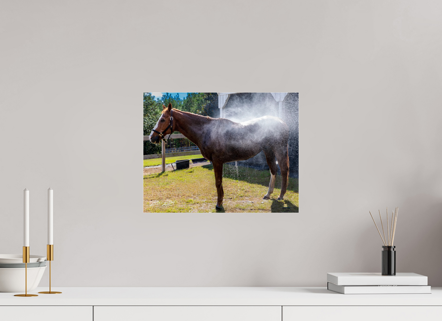 15.6 x 12″, Photo Print Under Acrylic Glass Zillas zoom image 145