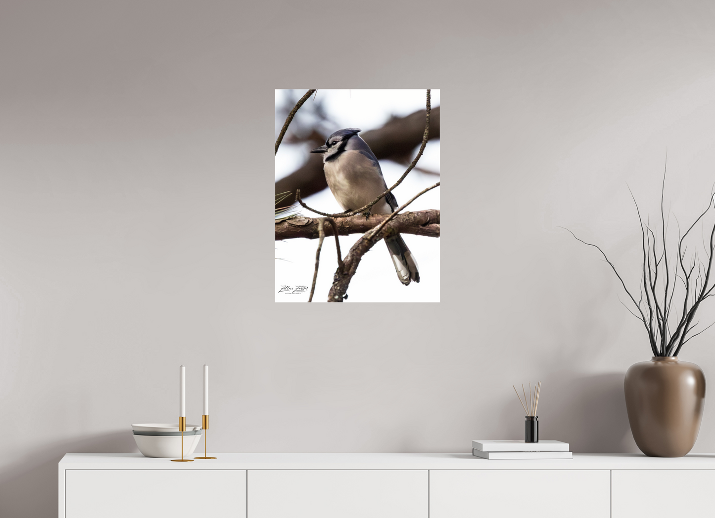 20 x 25.9″, Photo Print Under Acrylic Glass Zillas Zoom Image 455