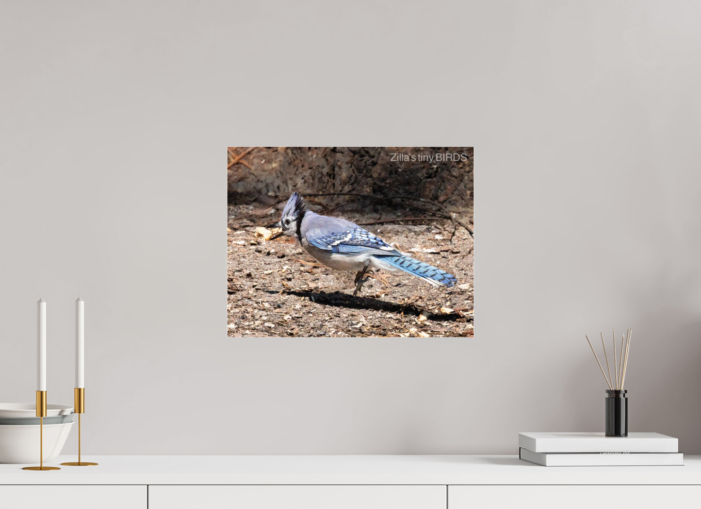 15.6 x 12″, Photo Print Under Acrylic Glass Zillas Zoom Image 381