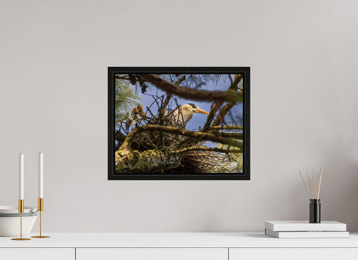 15.6 x 12″, Floater Frame Zillas Zoom Image 361
