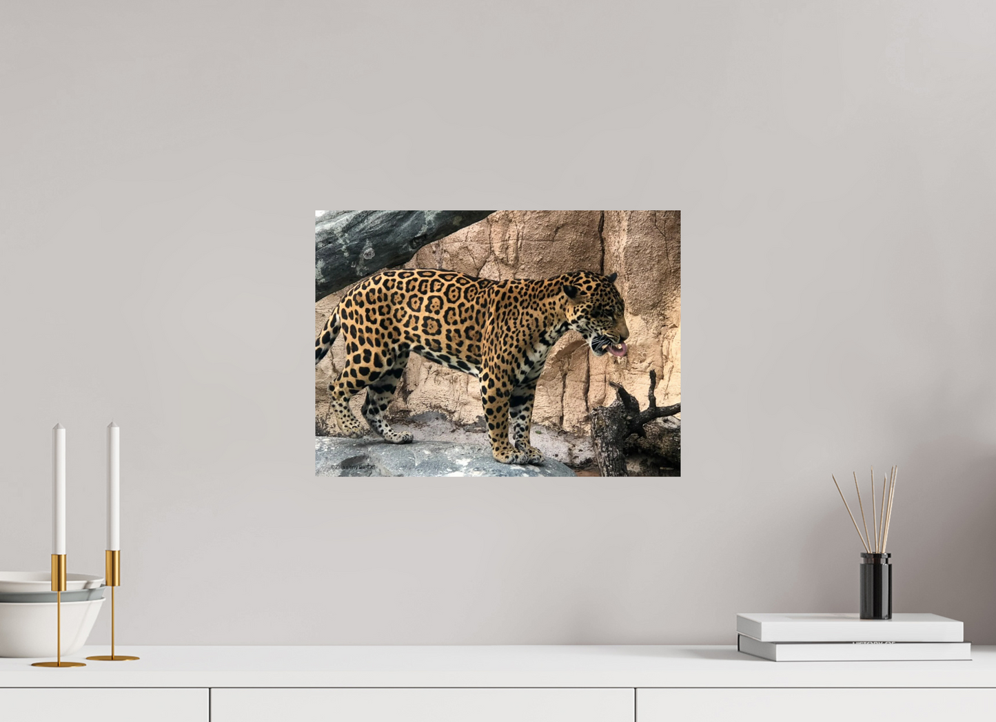 16.5 x 12″, Photo Print On Fuji Crystal DP II Zillas zoom image 137