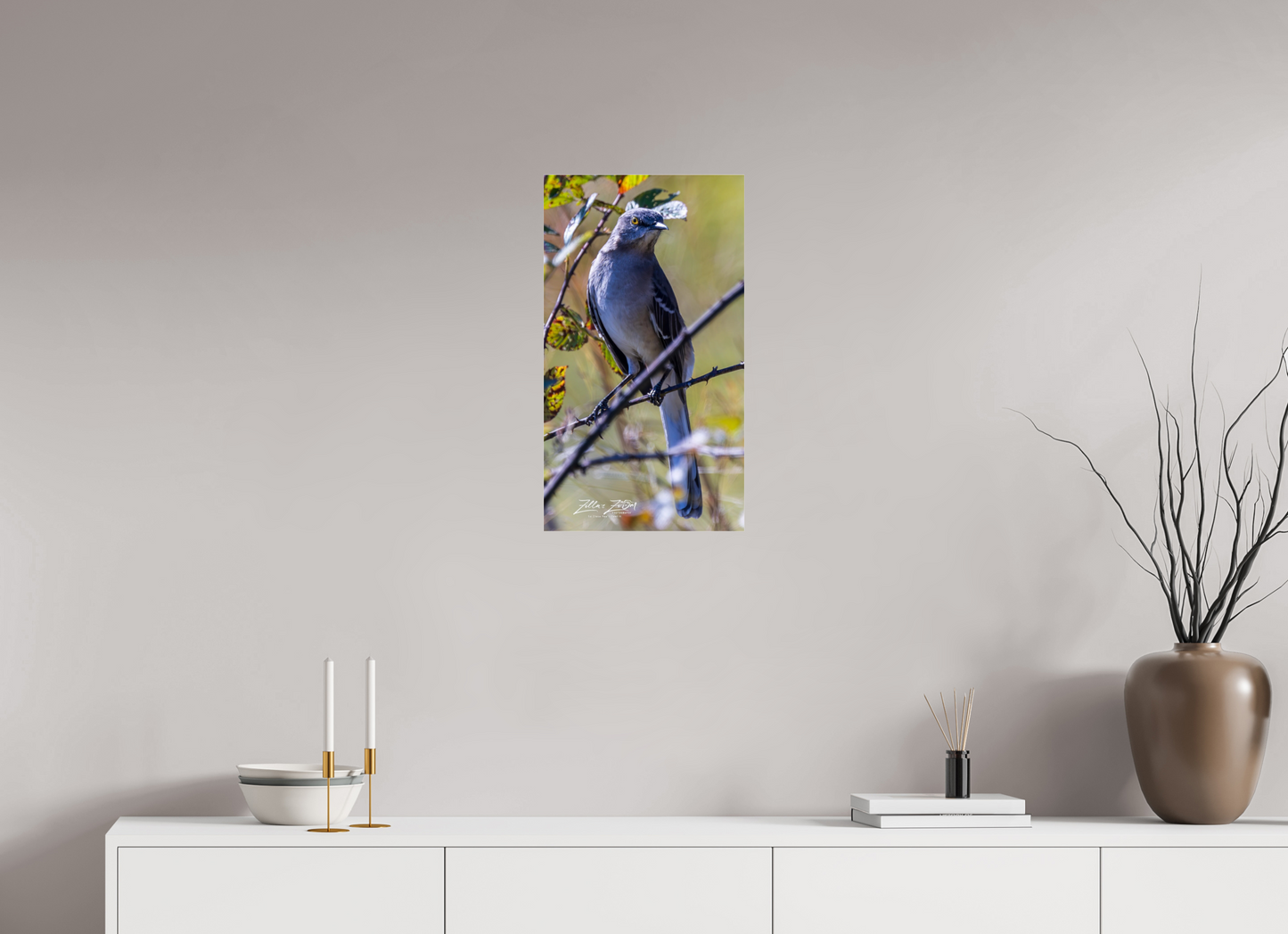 13.5 x 24″, Photo Print Under Acrylic Glass Zillas Zoom Image 408