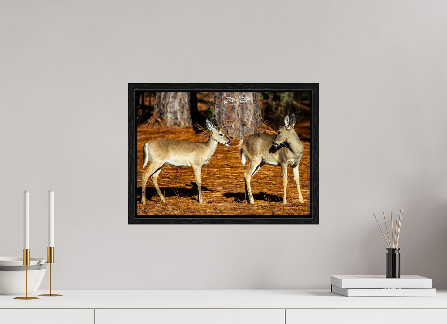 16.8 x 12″, Floater Frame Zillas zoom image 143