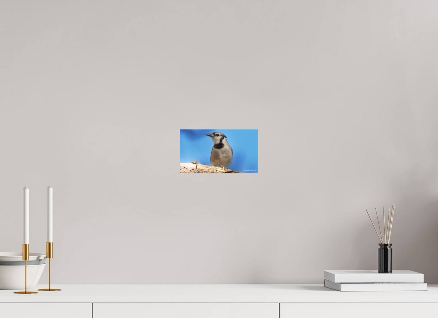 8 x 4.5″, Photo Print On Fuji Crystal DP II Zillas Zoom Image 384