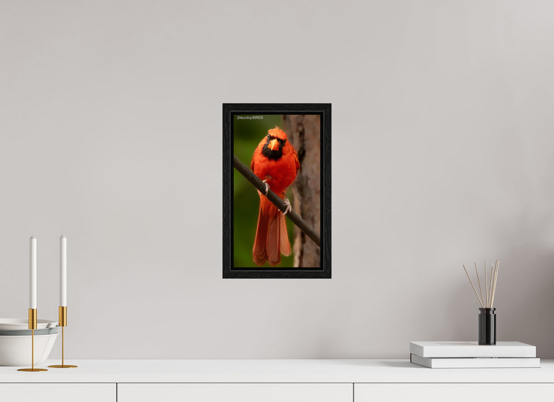 6.8 x 12″, Floater Frame Zillas Zoom Image 484