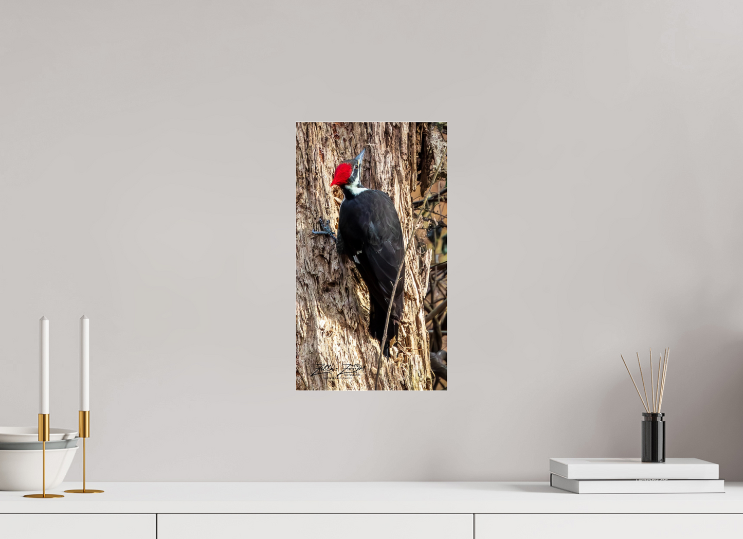 9 x 16″, Photo Print Under Acrylic Glass Zillas Zoom Image 425