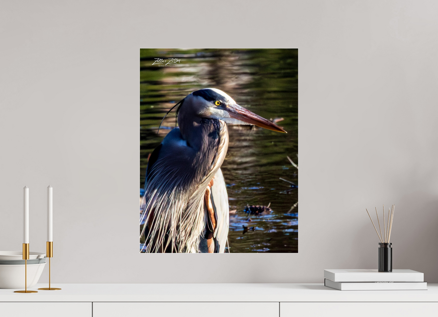 16 x 20.7″, Photo Print Under Acrylic Glass Zillas Zoom Image 409