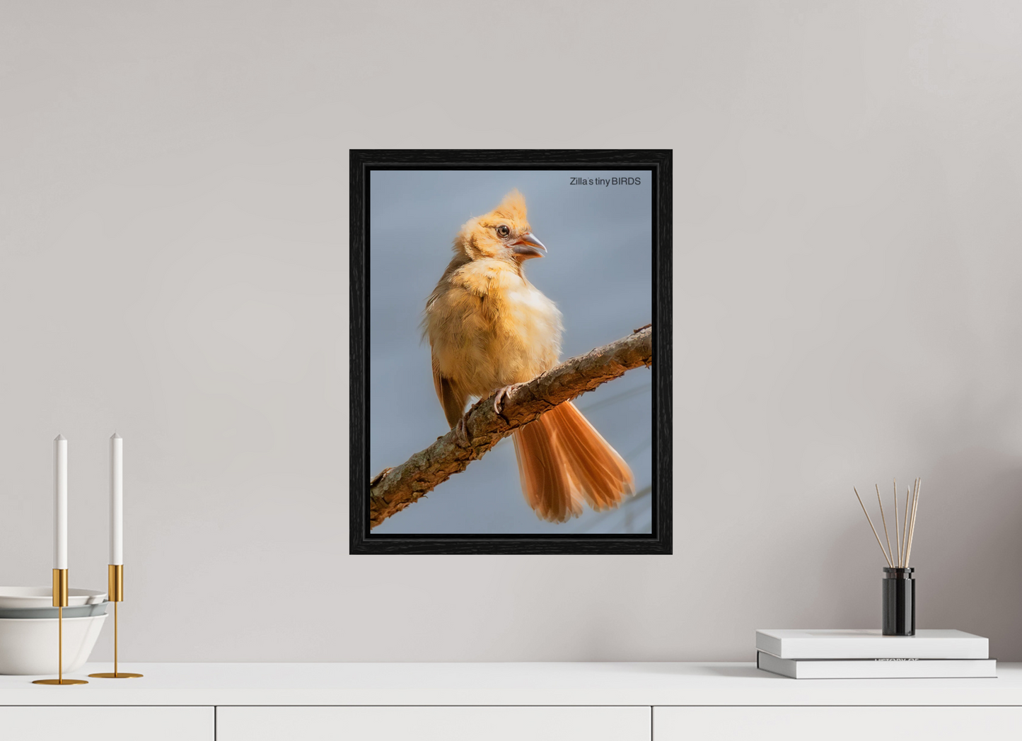 12 x 15.5″, Floater Frame Zillas Zoom Image 508