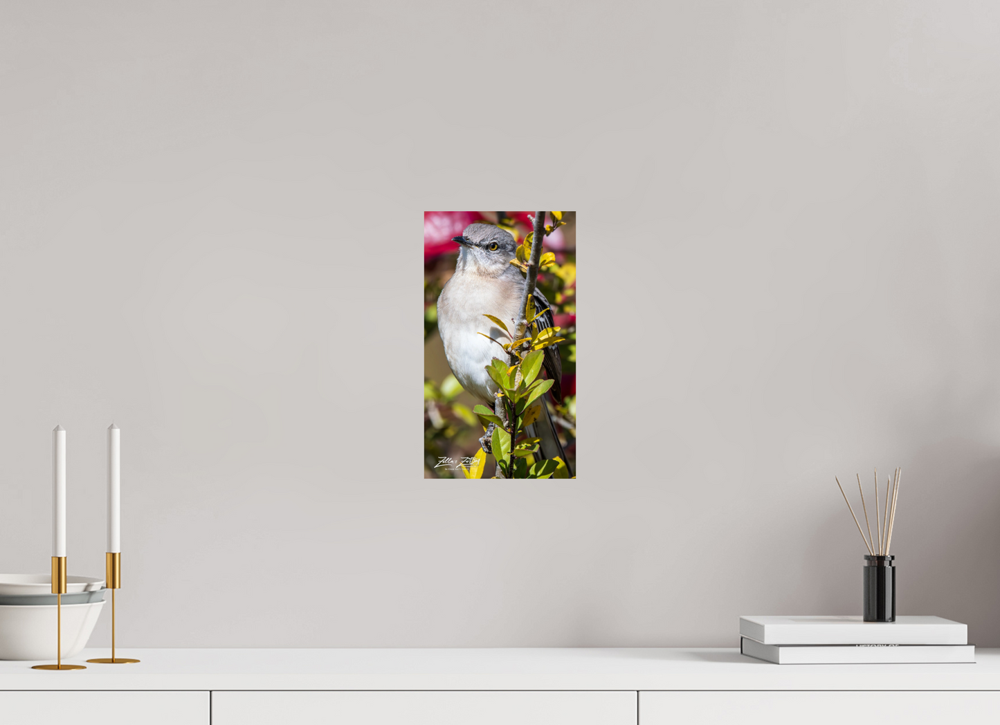 6.8 x 12″, Photo Print On Fuji Crystal DP II Zillas Zoom Image 406