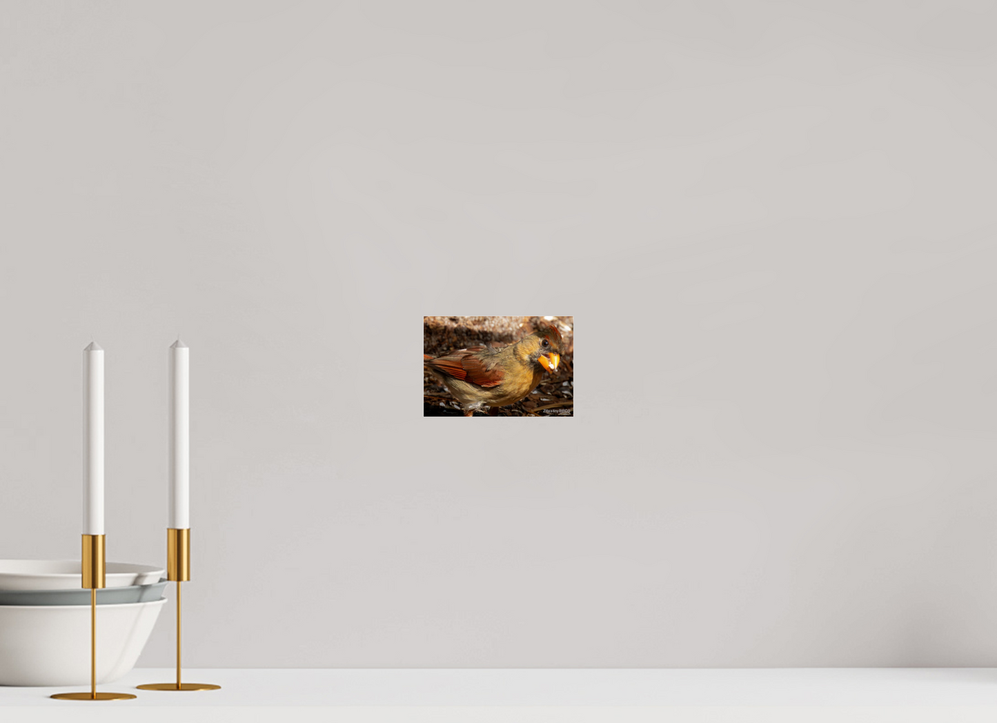 6 x 4″, Photo Print Under Acrylic Glass Zillas Zoom Image 392