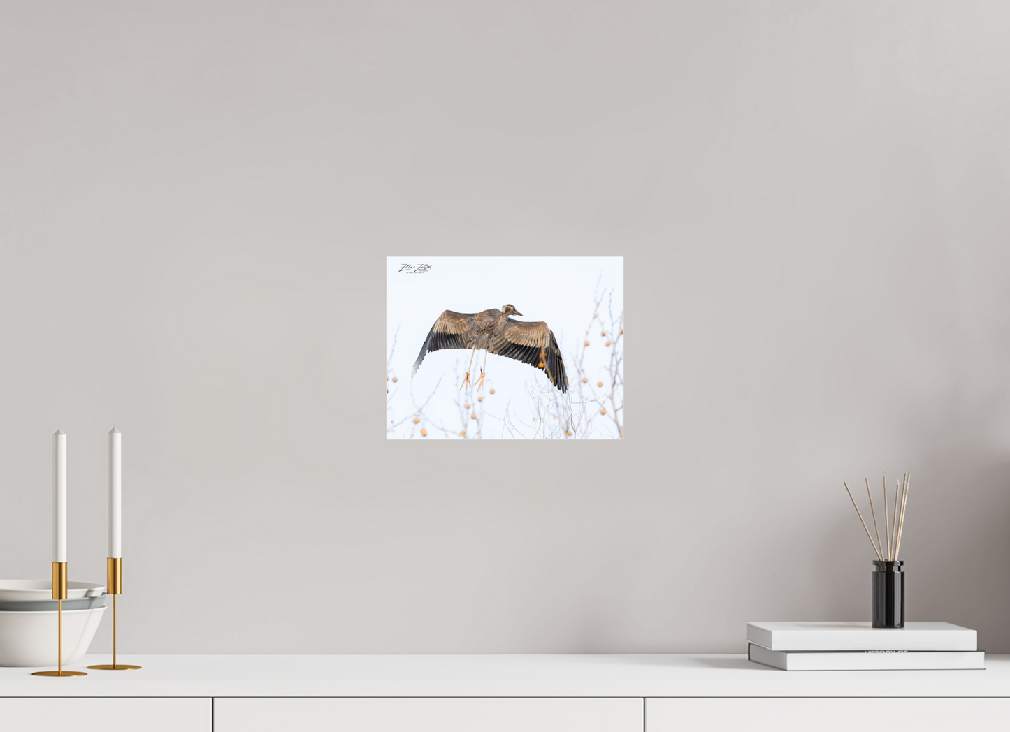 10.4 x 8″, Photo Print Under Acrylic Glass Zillas Zoom Image 276