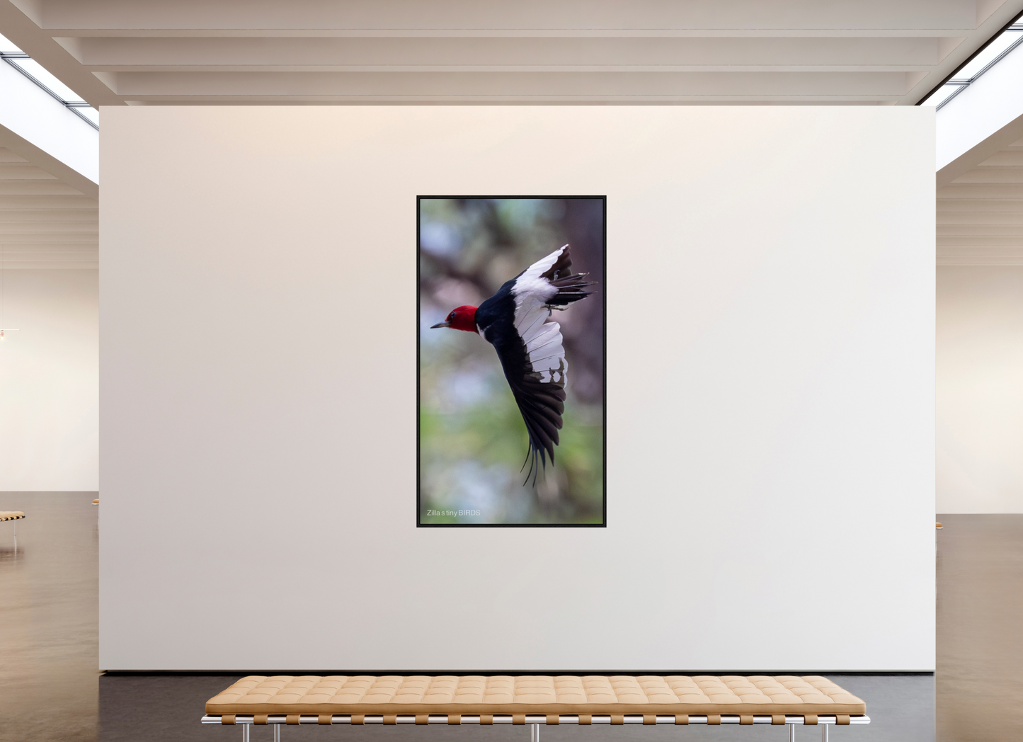 45 x 80″, Floater Frame Zillas Zoom Image 482