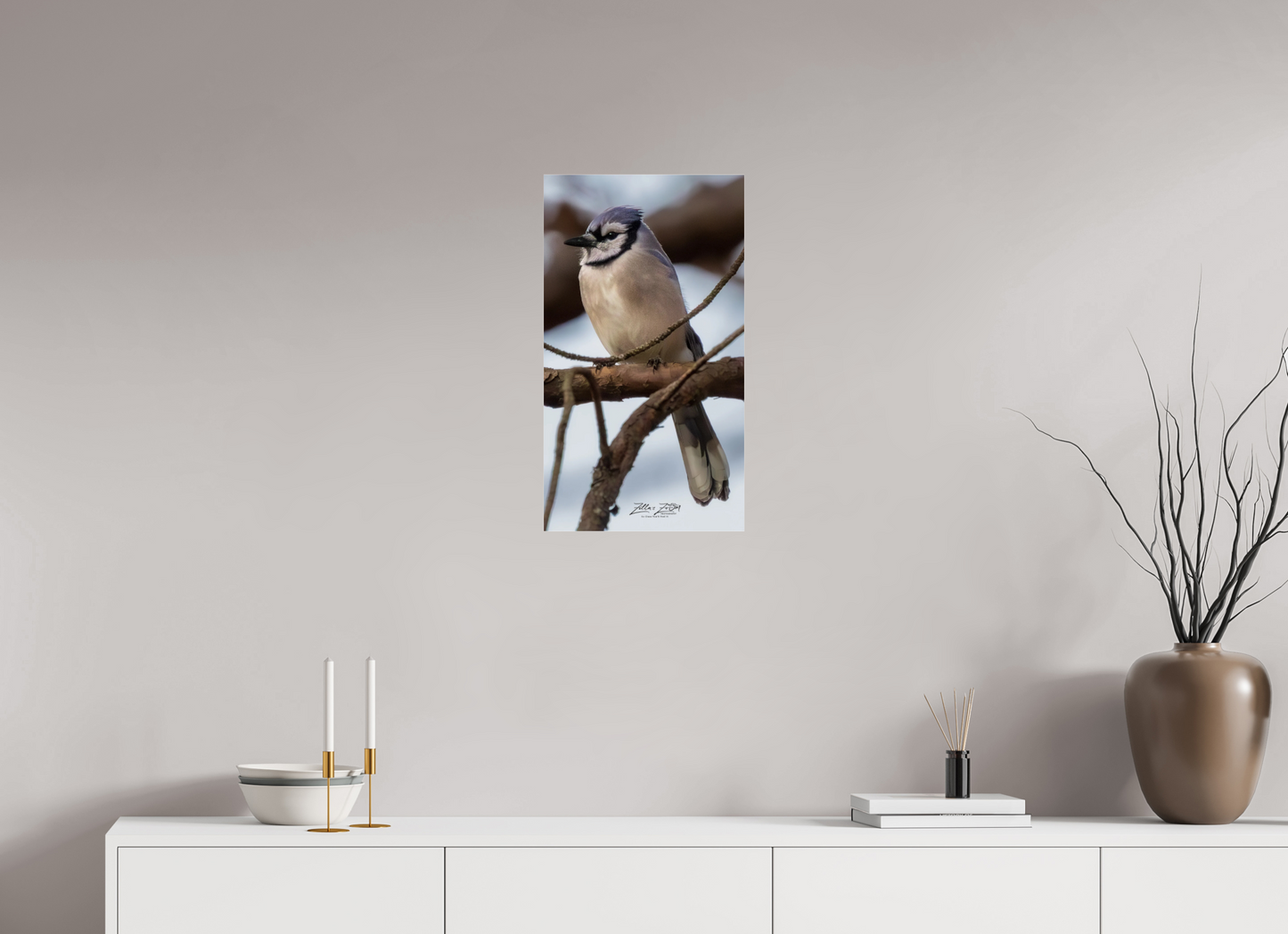 13.5 x 24″, Photo Print Under Acrylic Glass Zillas Zoom Image 446