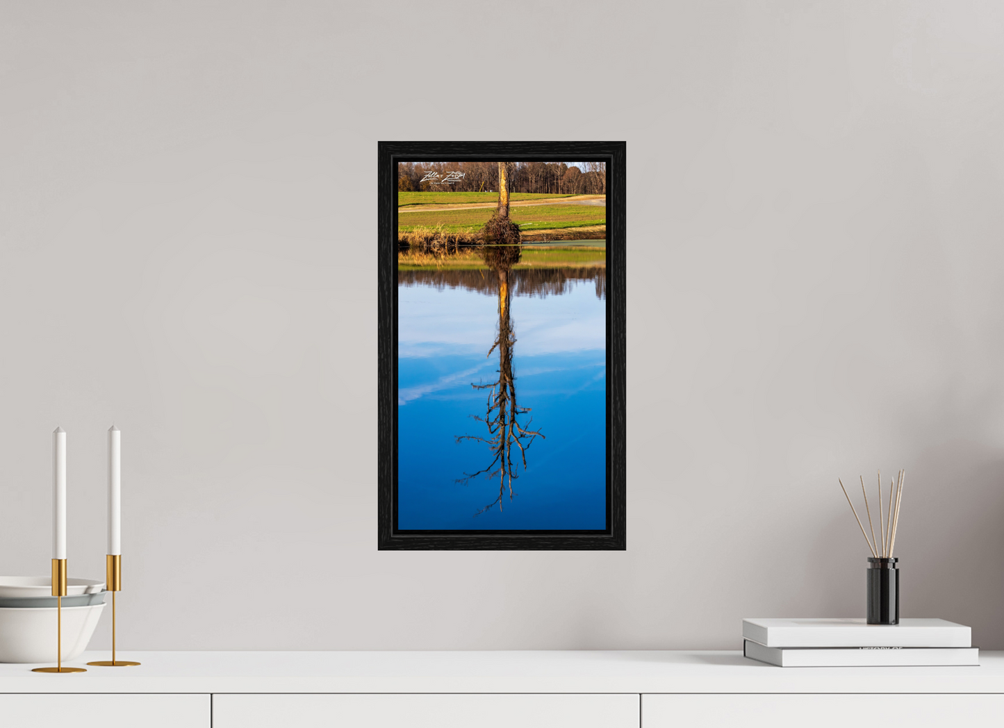 9 x 16″, Floater Frame Zillas Zoom Image 247