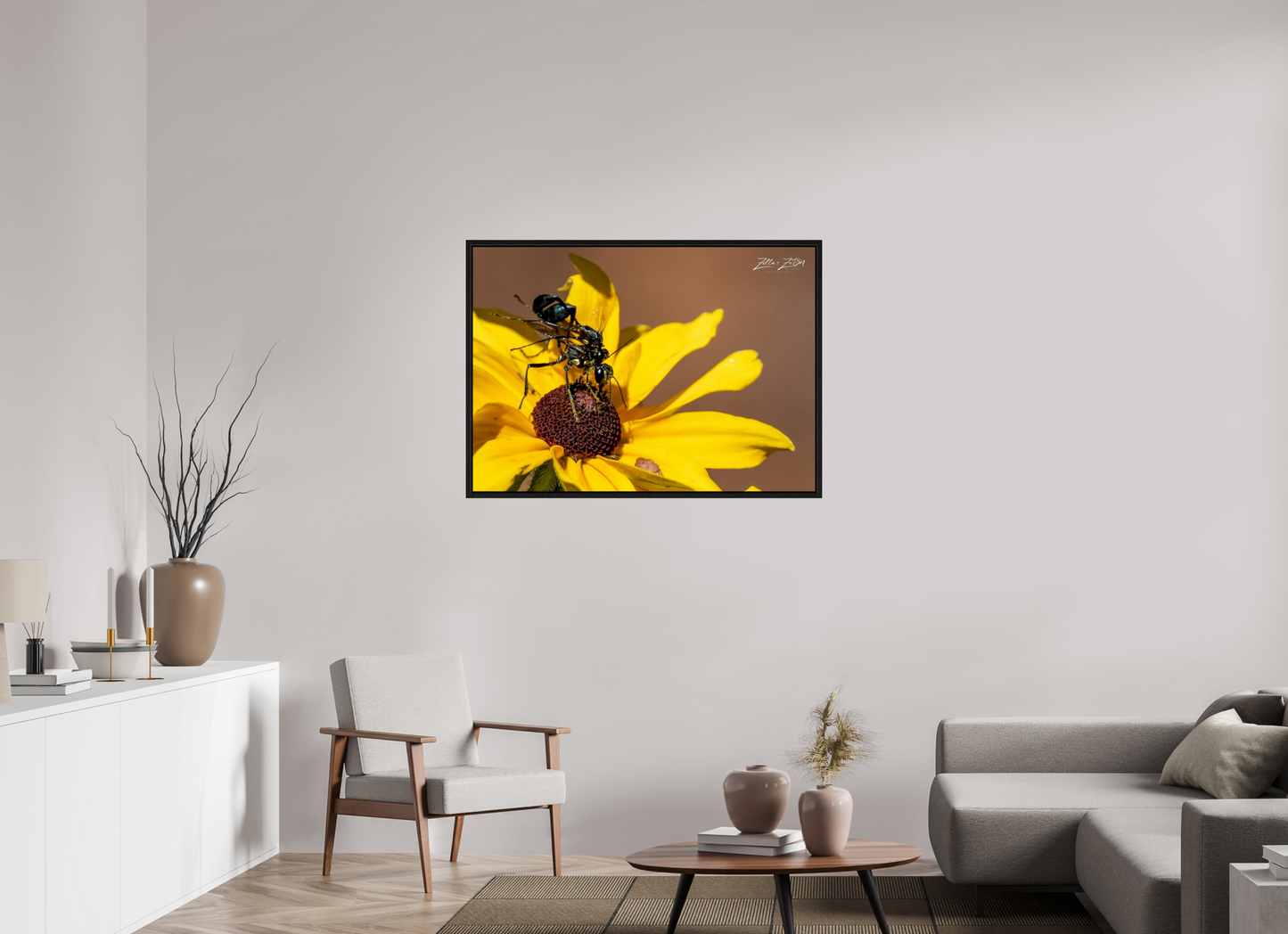 43.4 x 31″, Floater Frame Zillas Zoom Image 104