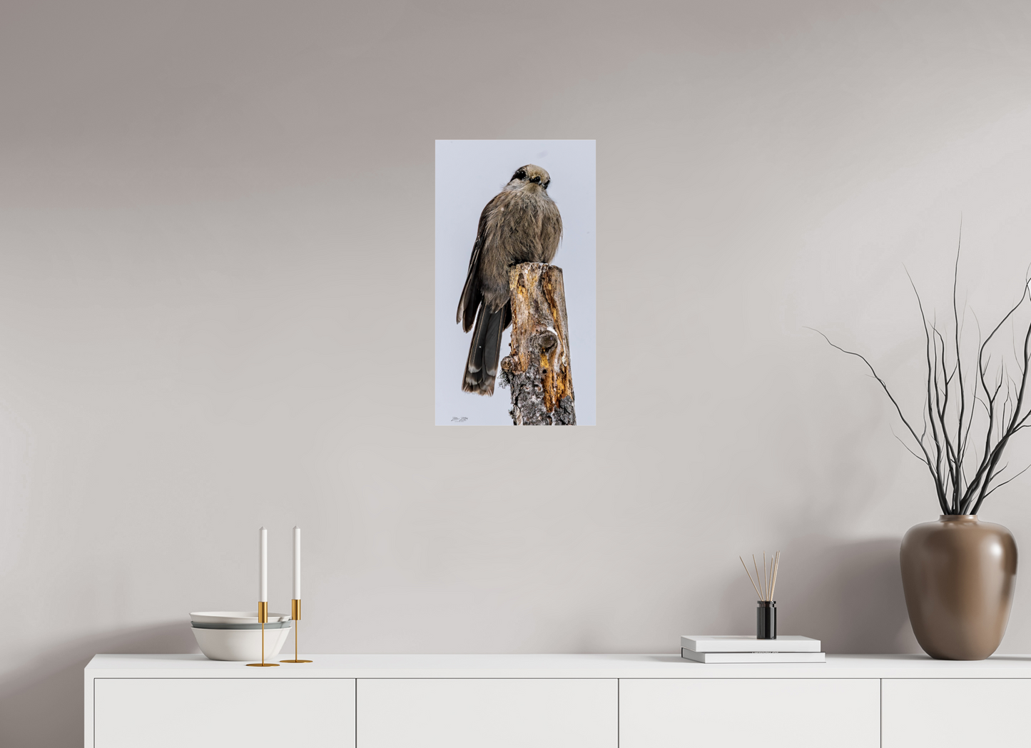 13.5 x 24″, Photo Print Under Acrylic Glass Zillas Zoom Image 464