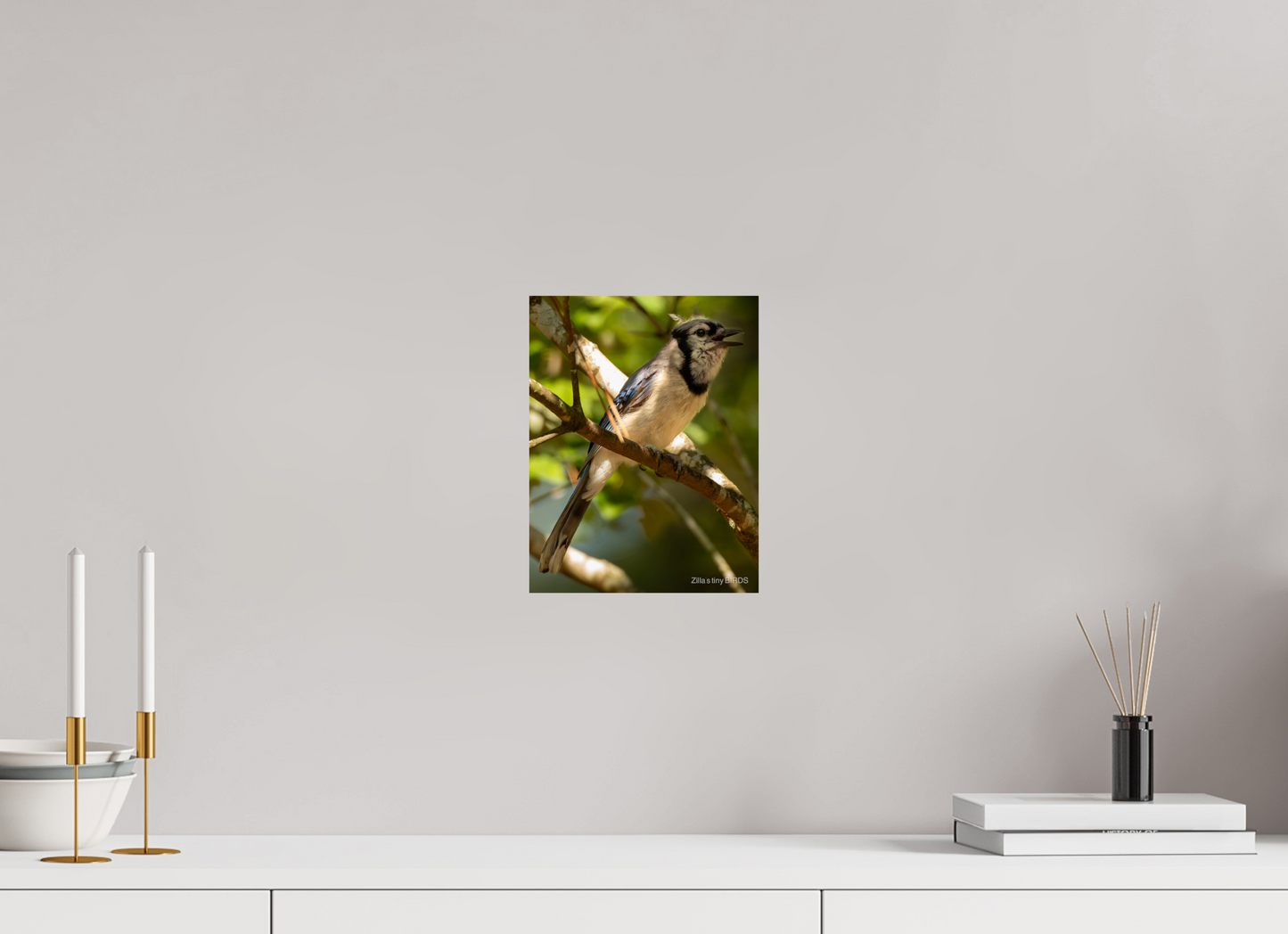 8 x 10.4″, Photo Print On Fuji Crystal DP II Zillas Zoom Image 517