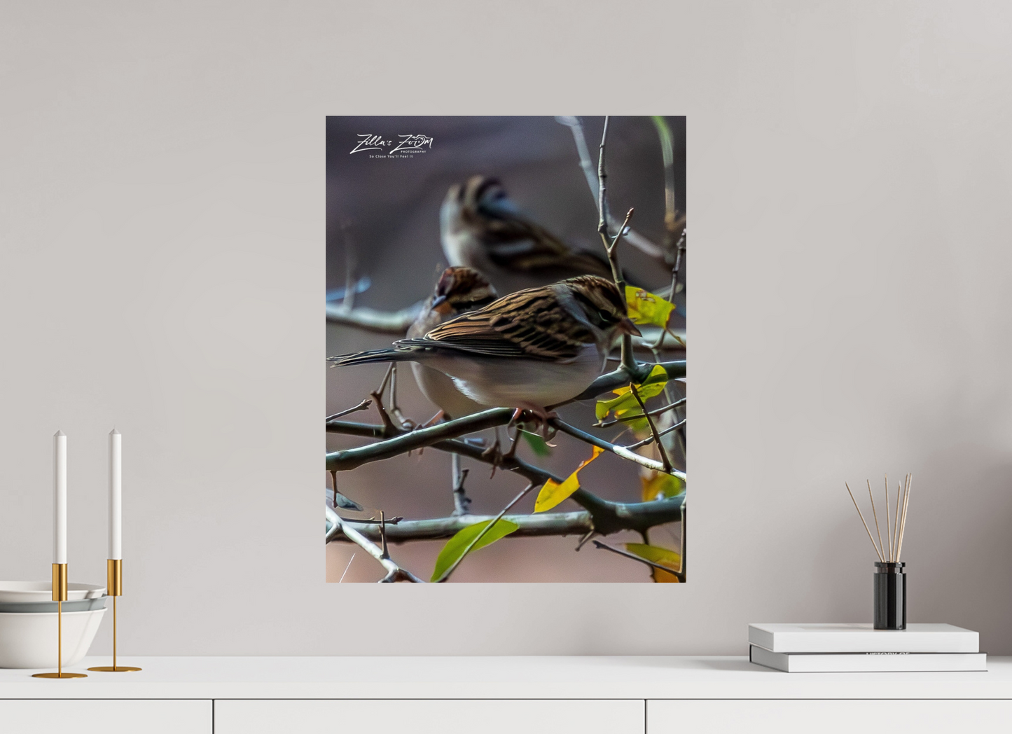 16 x 20.7″, Photo Print On Fuji Crystal DP II Zillas Zoom Image 427