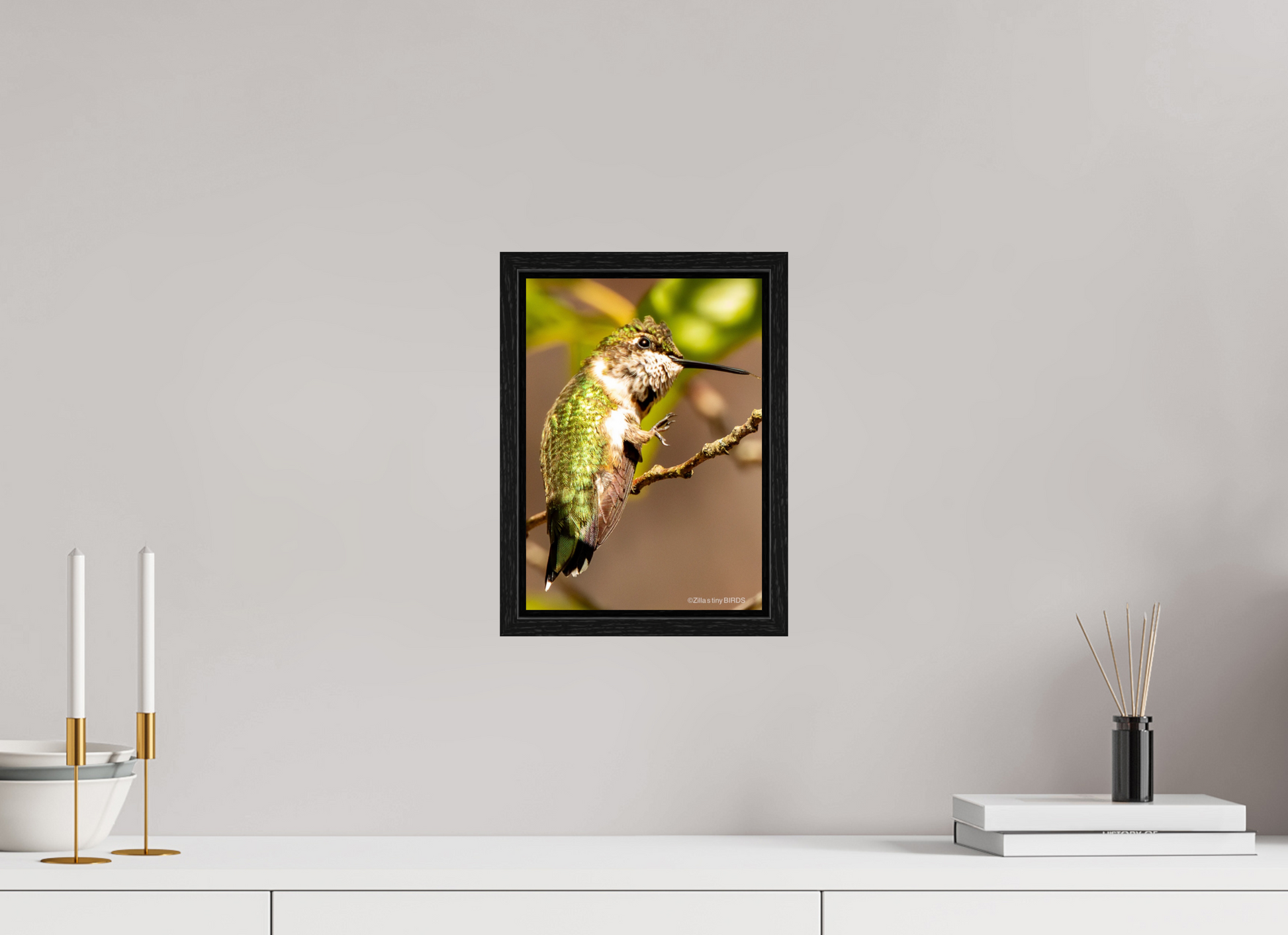 8 x 11.2″, Floater Frame Zillas Zoom Image 471