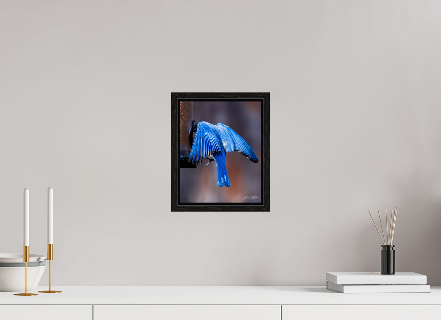 8 x 10″, Floater Frame Zillas Zoom Image 511