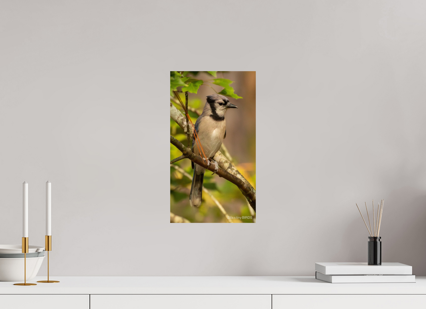 9 x 16″, Photo Print On Fuji Crystal DP II Zillas Zoom Image 491