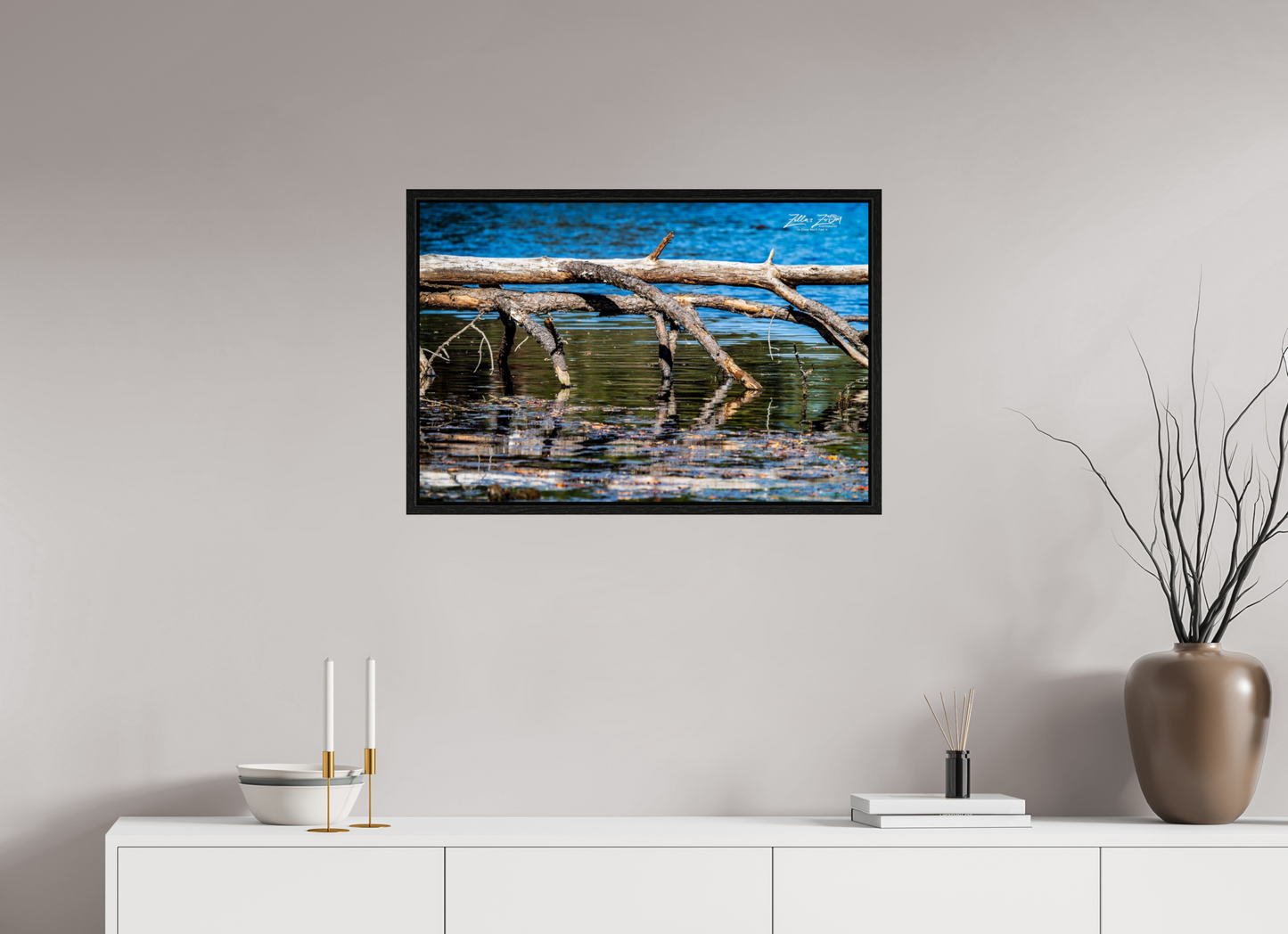 30 x 20″, Floater Frame Zillas Zoom Image 214