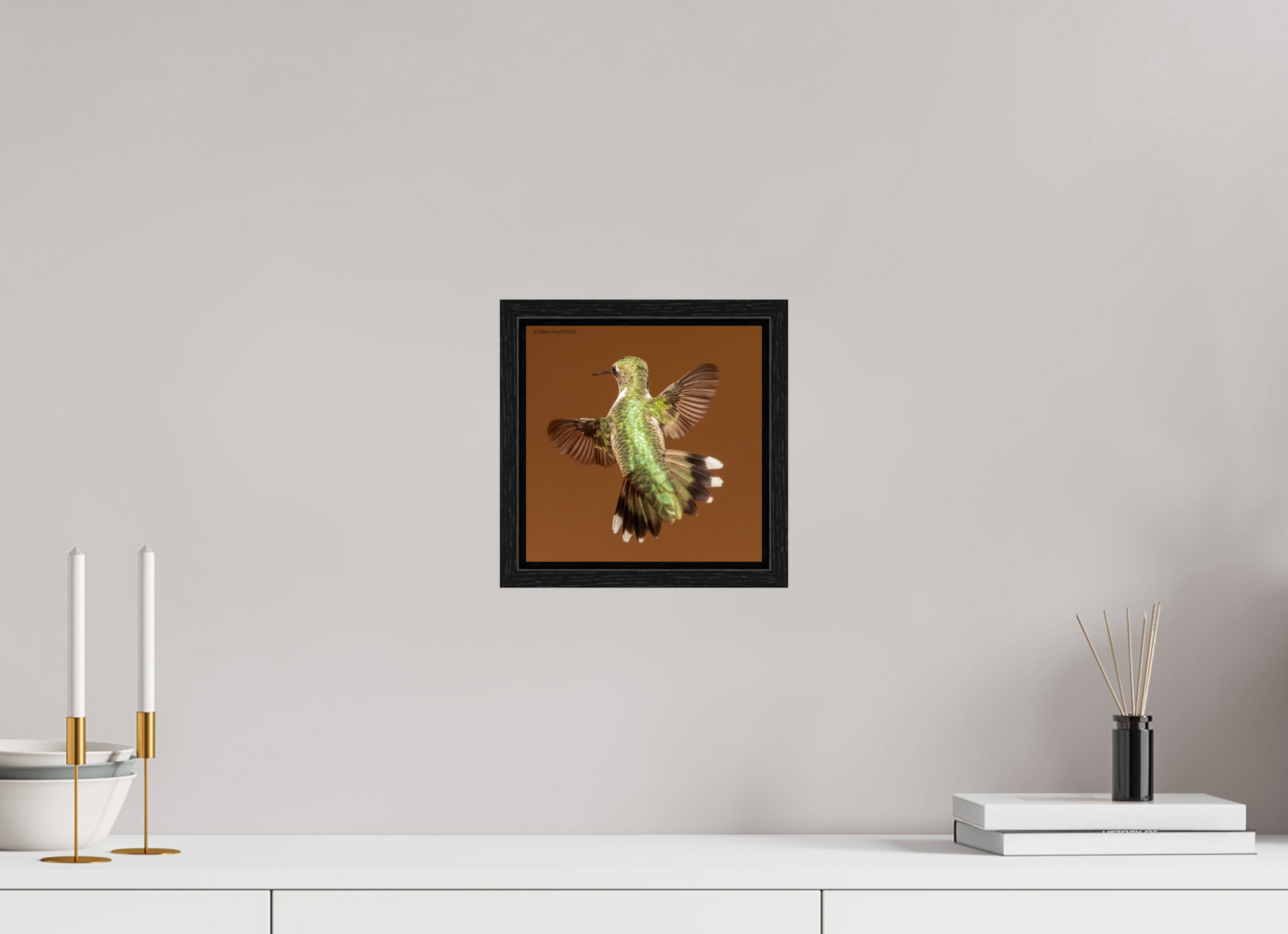 8 x 8″, Floater Frame Zillas Zoom Image 338
