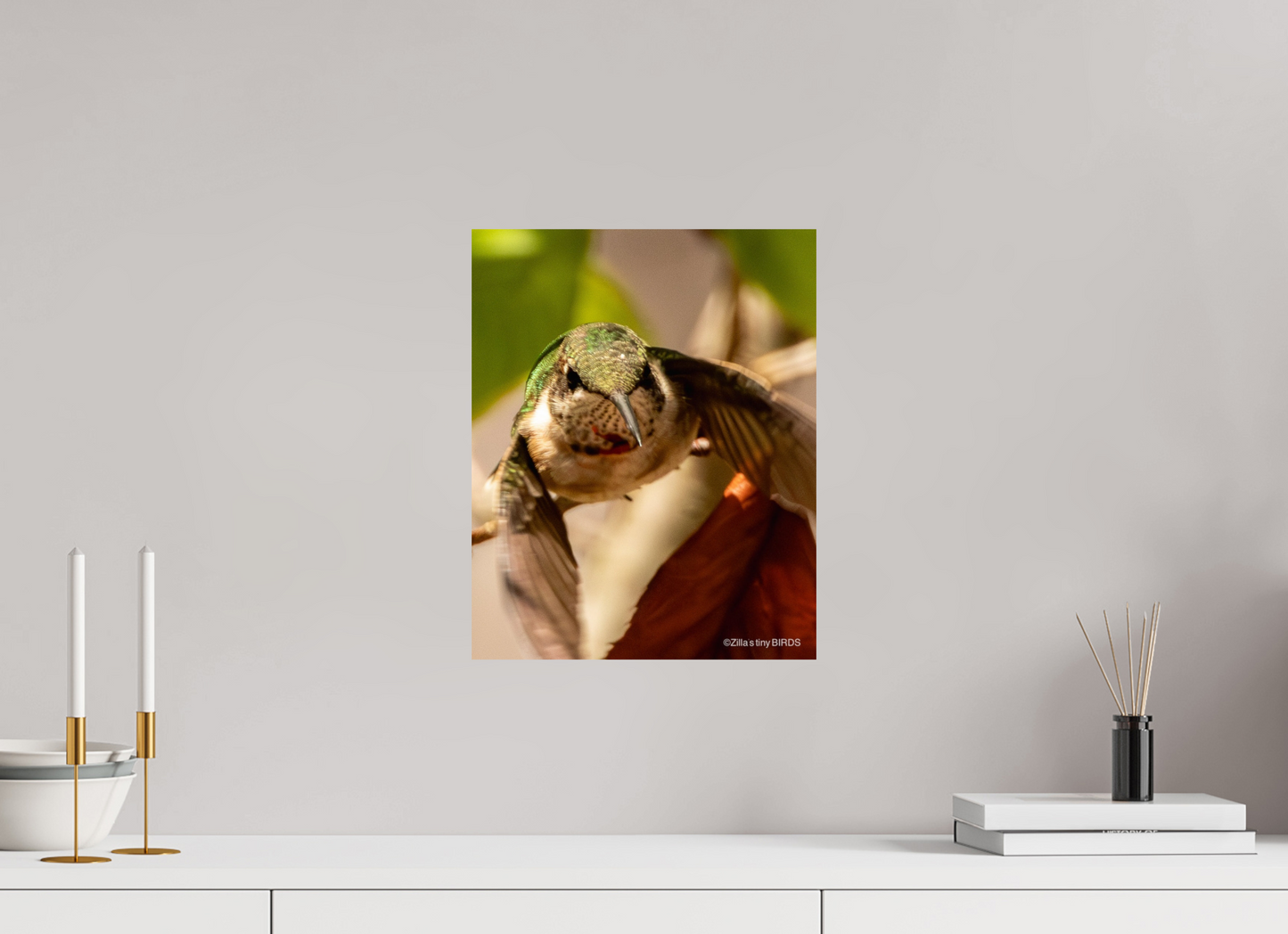 12 x 15″, Photo Print On Fuji Crystal DP II Zillas Zoom Image 504