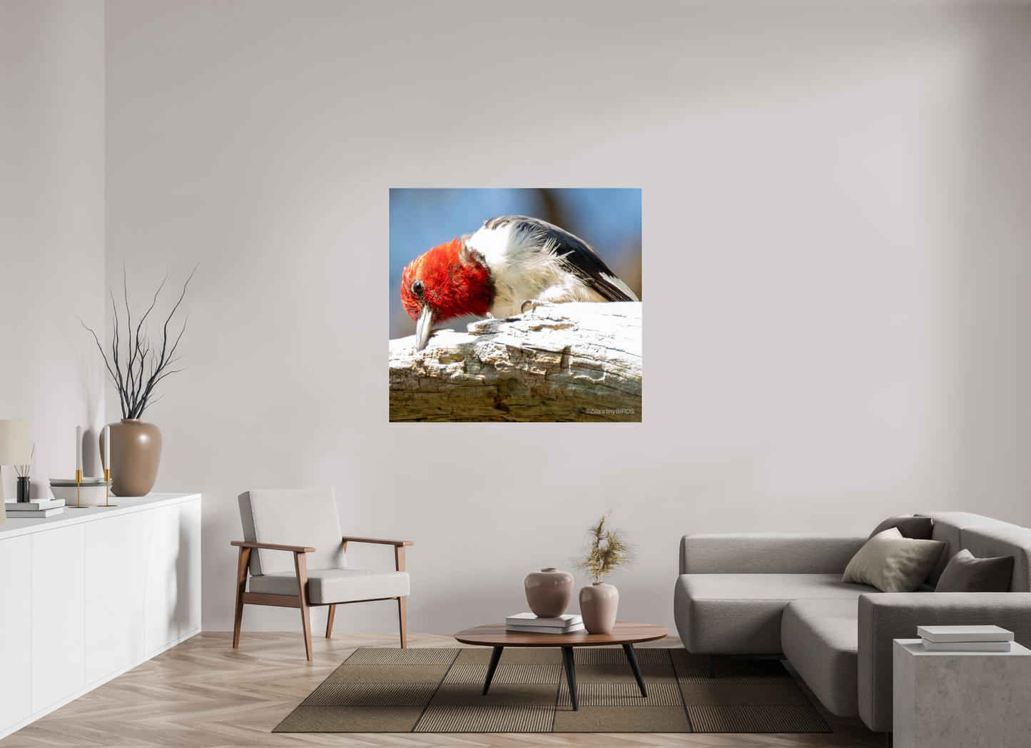 50.7 x 47″, Photo Print Under Acrylic Glass Zillas Zoom Image 270