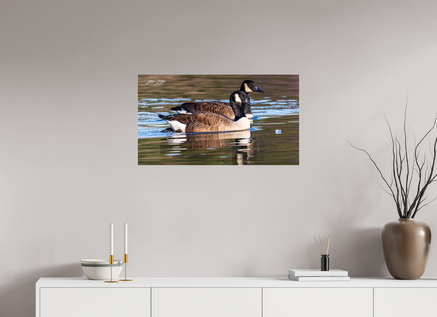 32 x 18″, Photo Print Under Acrylic Glass Zillas Zoom Image 279