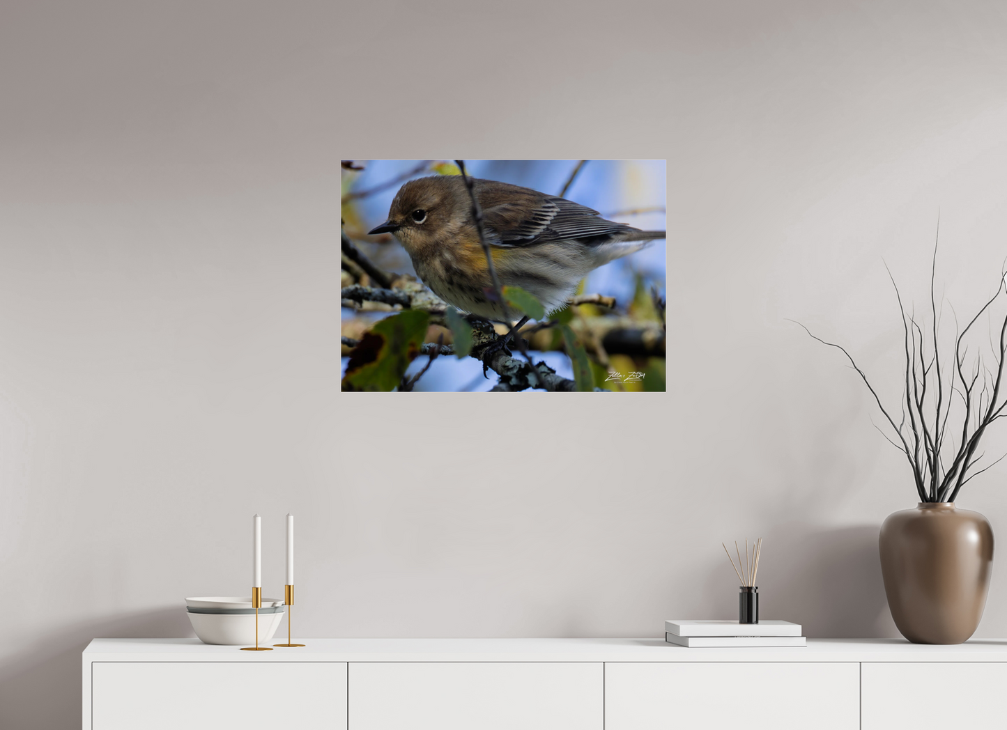 28 x 20″, Photo Print Under Acrylic Glass Zillas Zoom Image 357