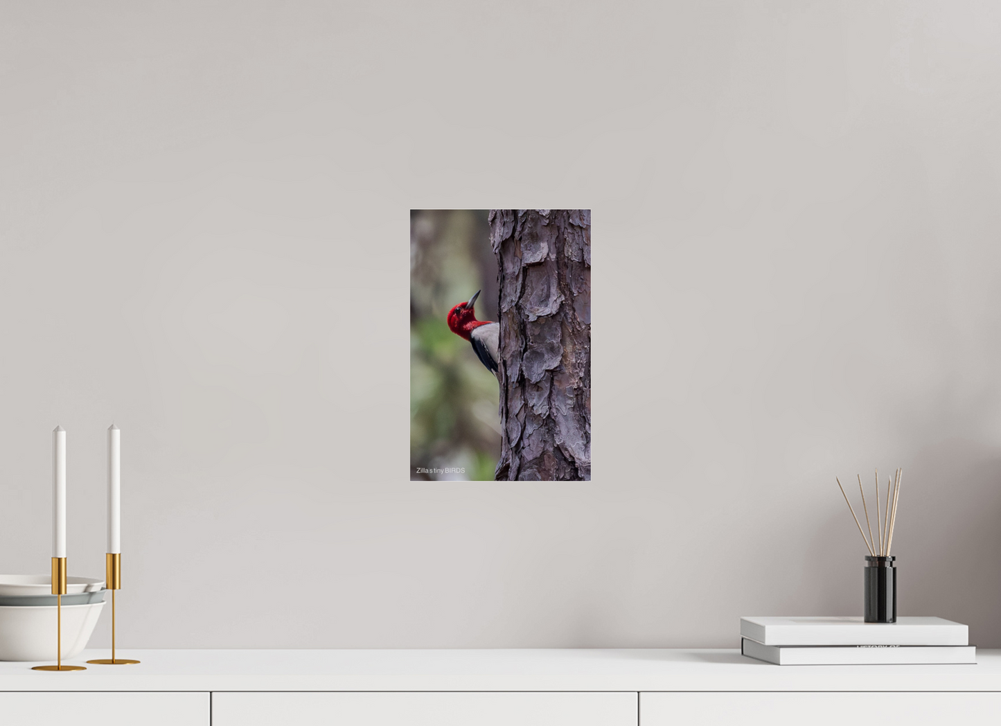 8 x 12″, Photo Print Under Acrylic Glass Zillas Zoom Image 506