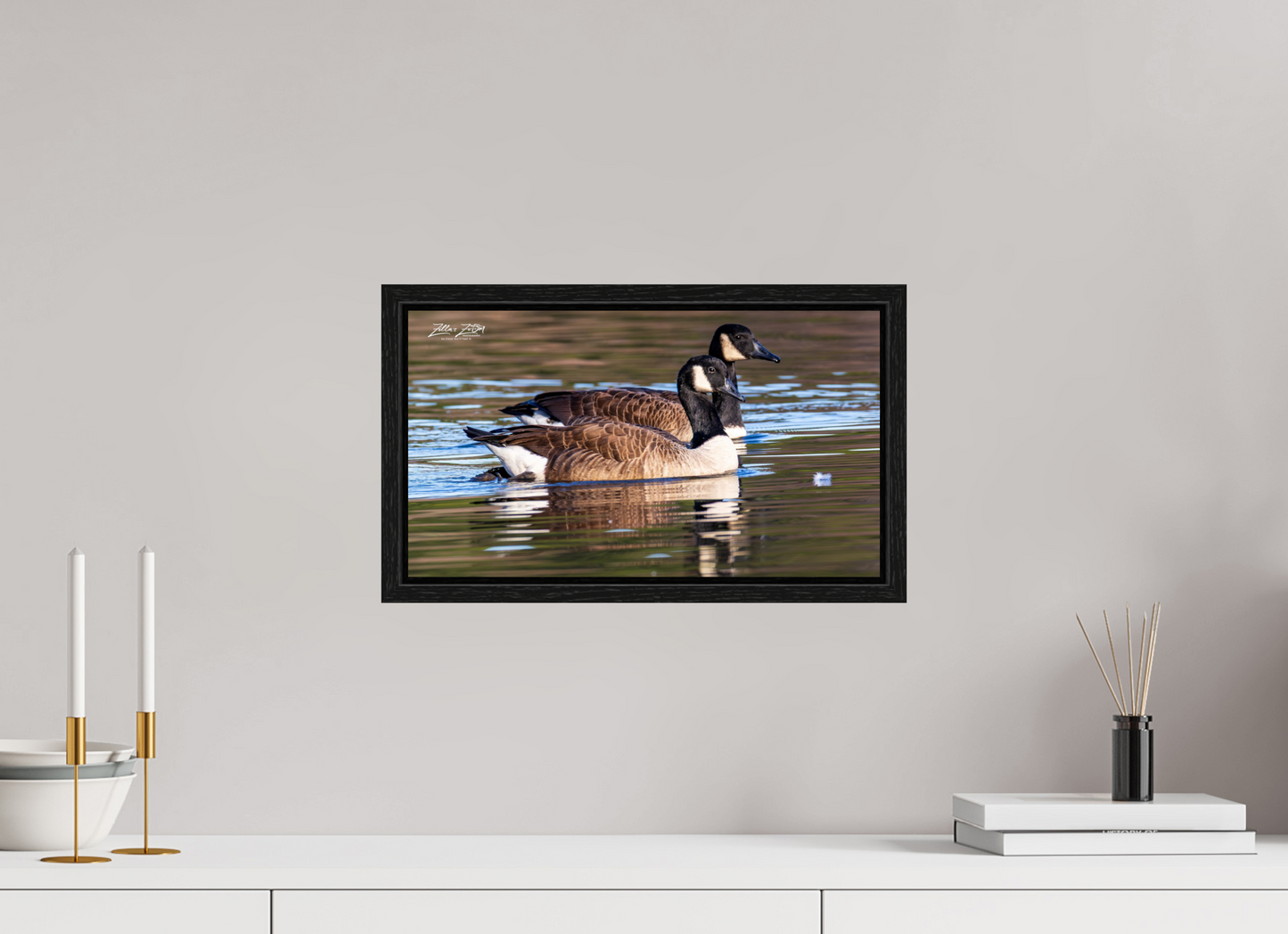 16 x 9″, Floater Frame Zillas Zoom Image 279