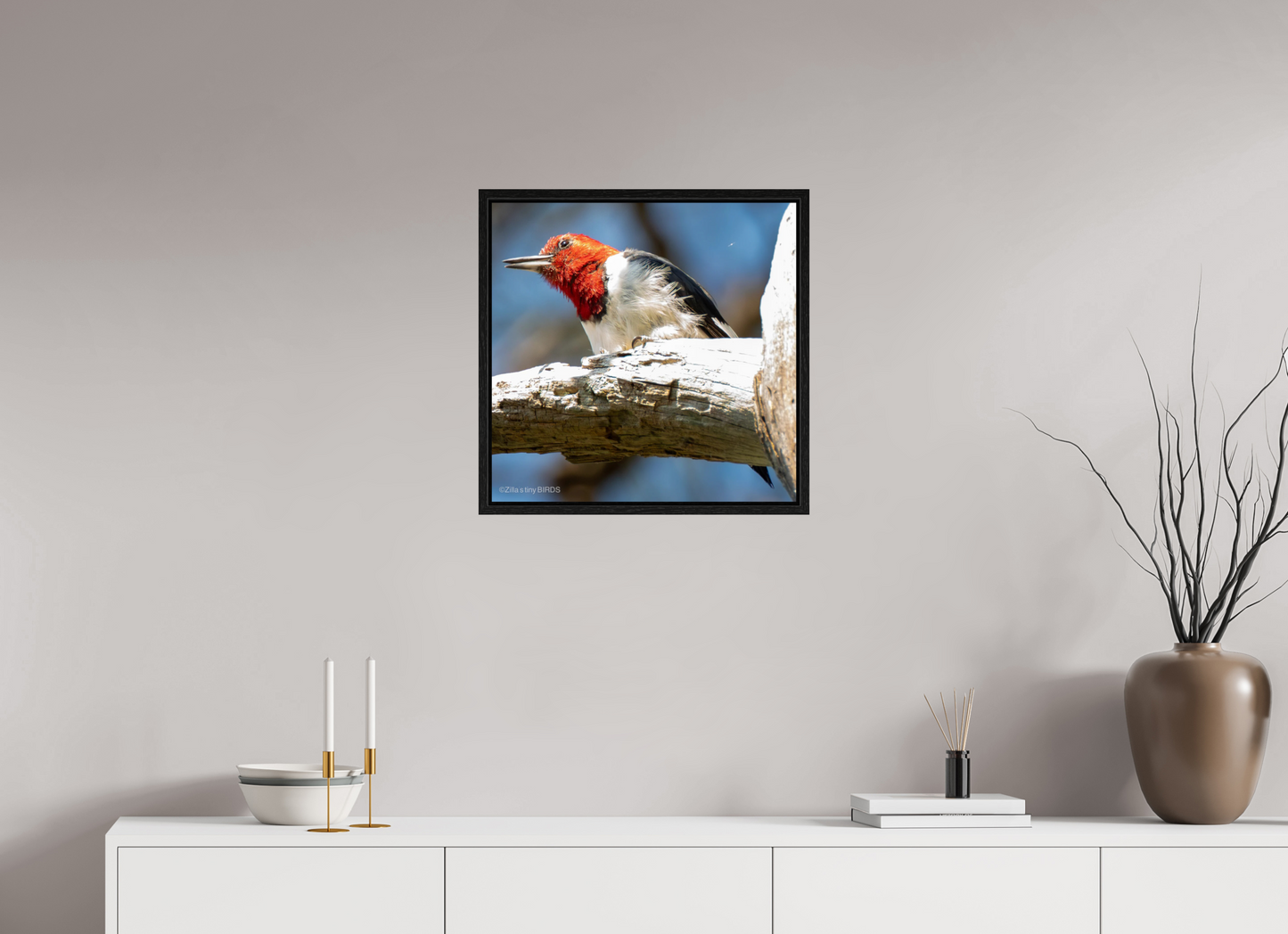 20.4 x 20″, Floater Frame Zillas Zoom Image 273
