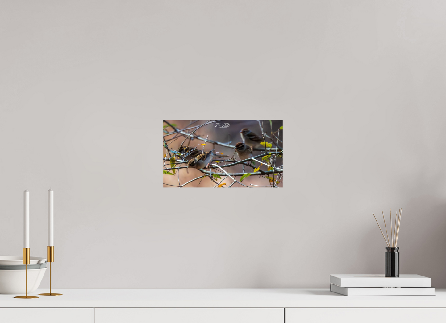 12 x 6.8″, Photo Print On Fuji Crystal DP II Zillas Zoom Image 304
