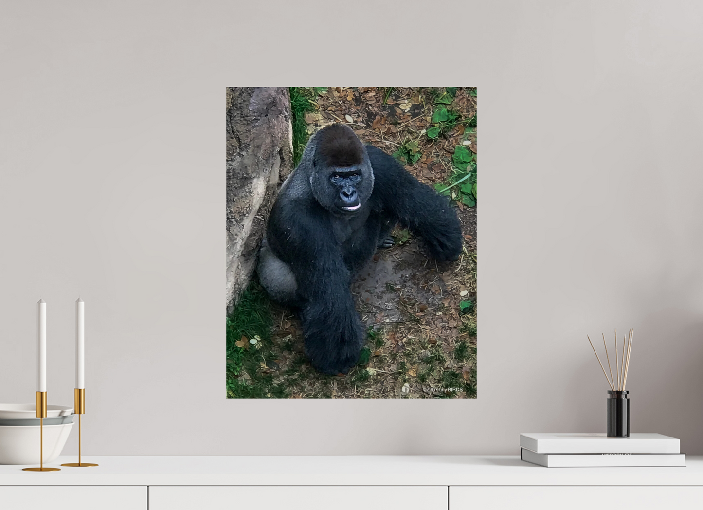 16 x 19.9″, Photo Print On Fuji Crystal DP II Zillas zoom image 151