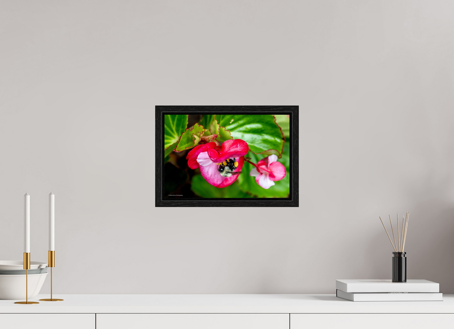 12 x 8″, Floater Frame Zillas Zoom Image 96