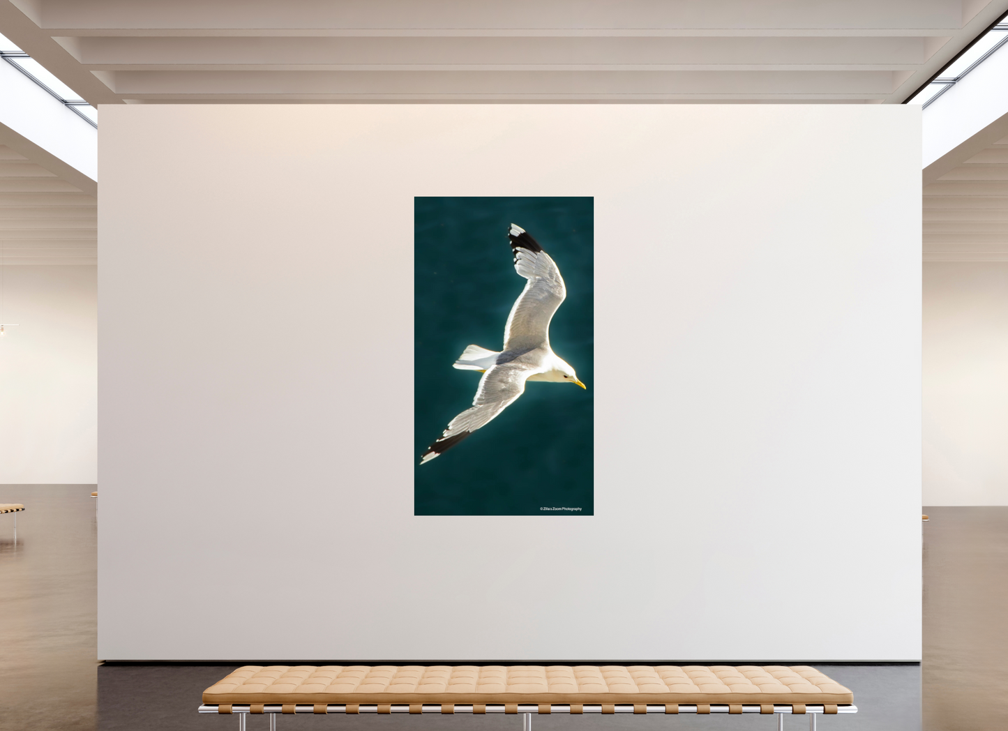 45 x 80″, Photo Print Under Acrylic Glass Zillas Zoom Image 467