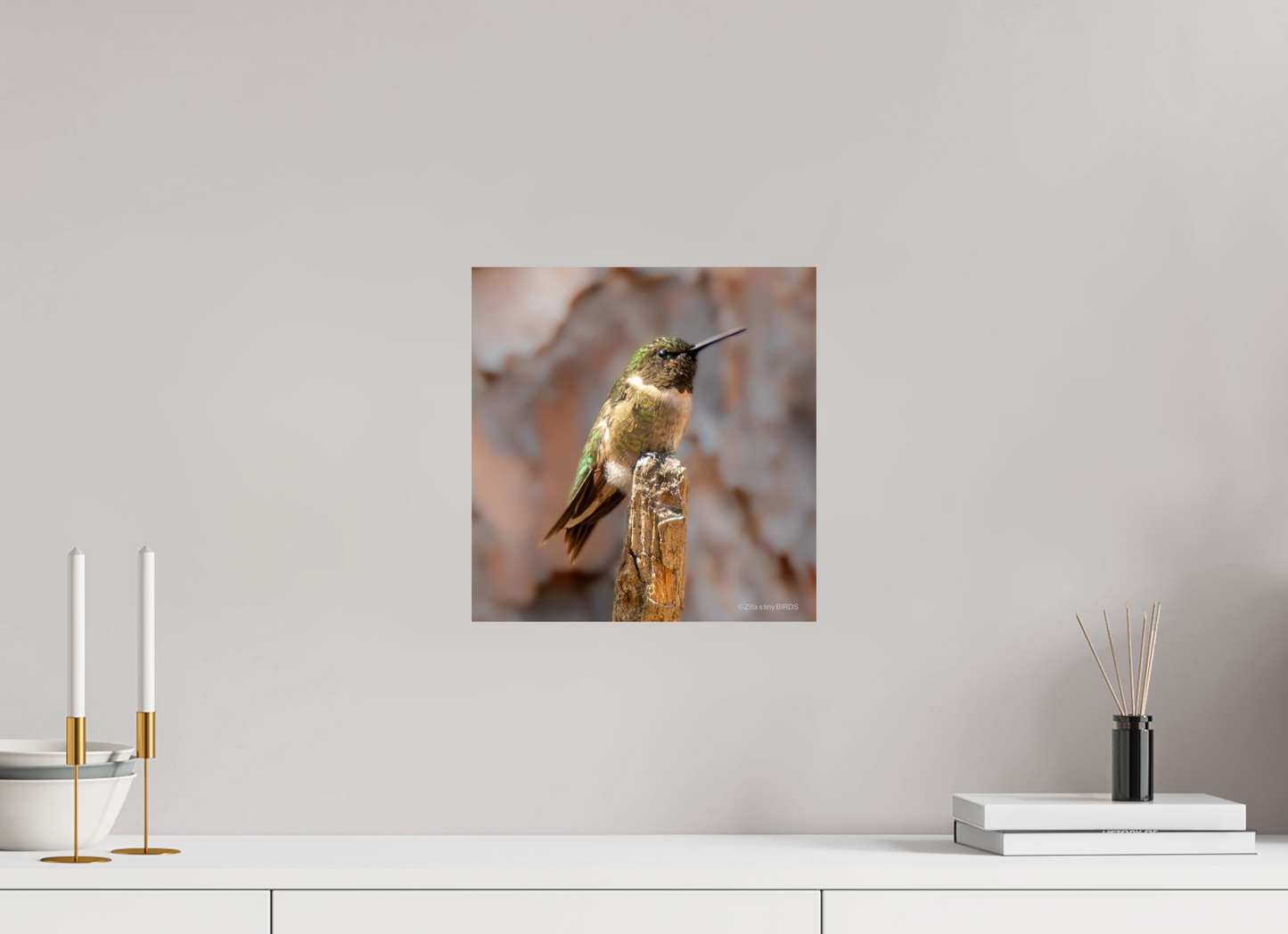 12 x 12.4″, Photo Print On Fuji Crystal DP II Zillas Zoom Image 450