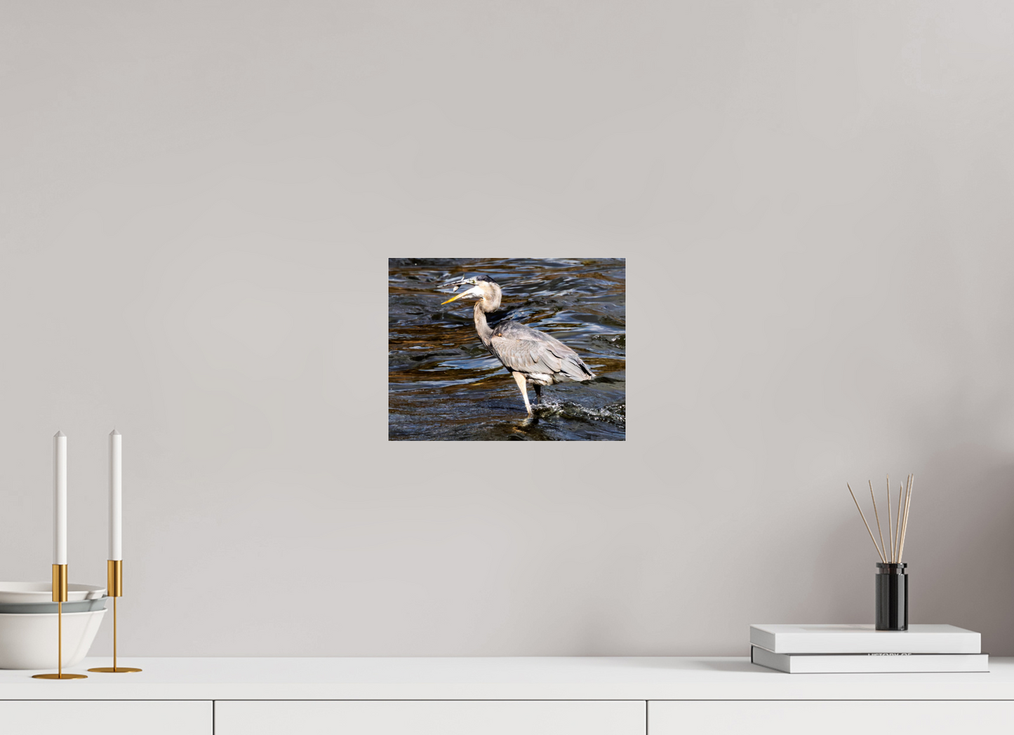 10.4 x 8″, Photo Print Under Acrylic Glass Zillas Zoom Image 369