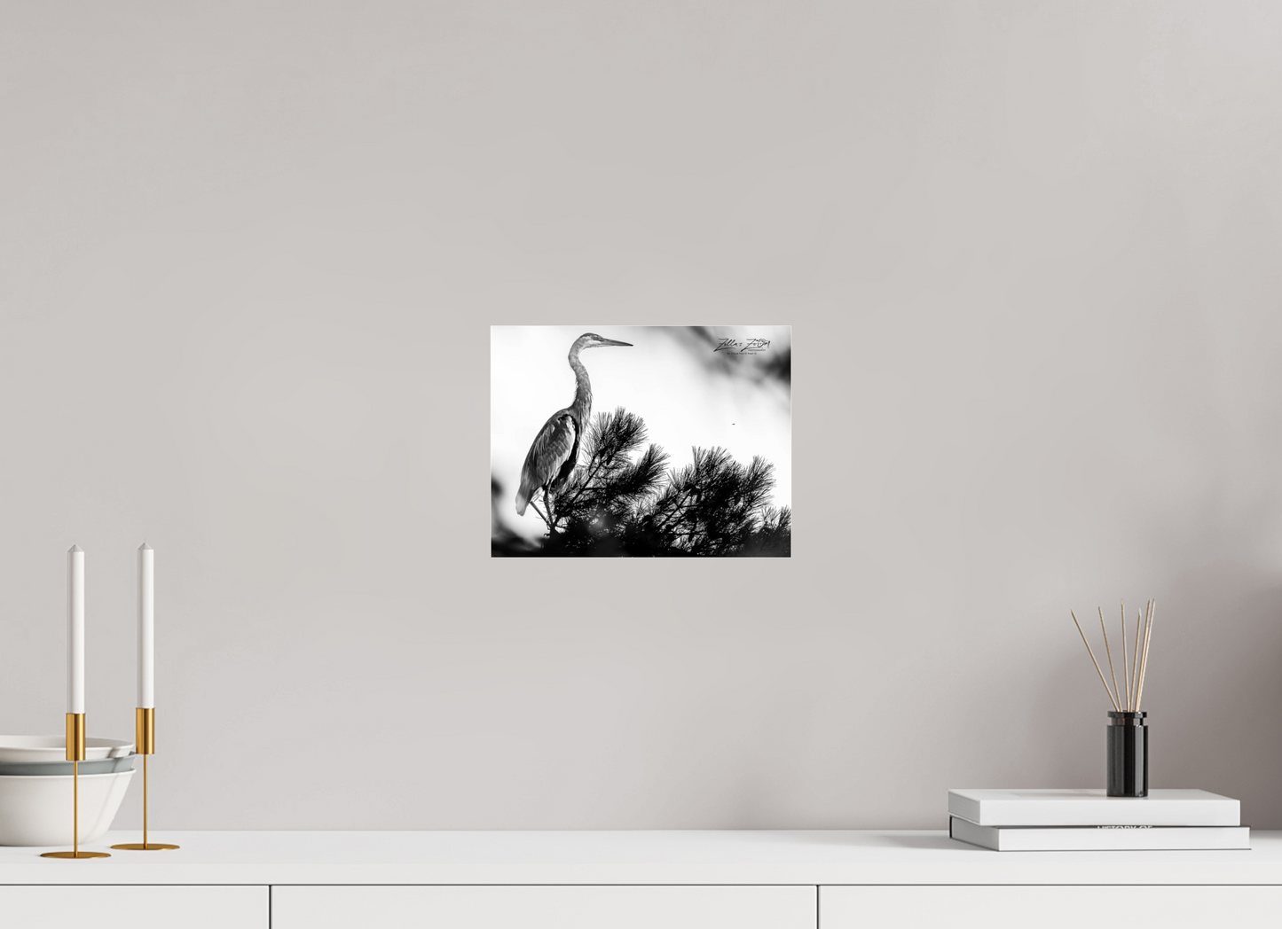 10.4 x 8″, Photo Print Under Acrylic Glass Zillas Zoom Image 298