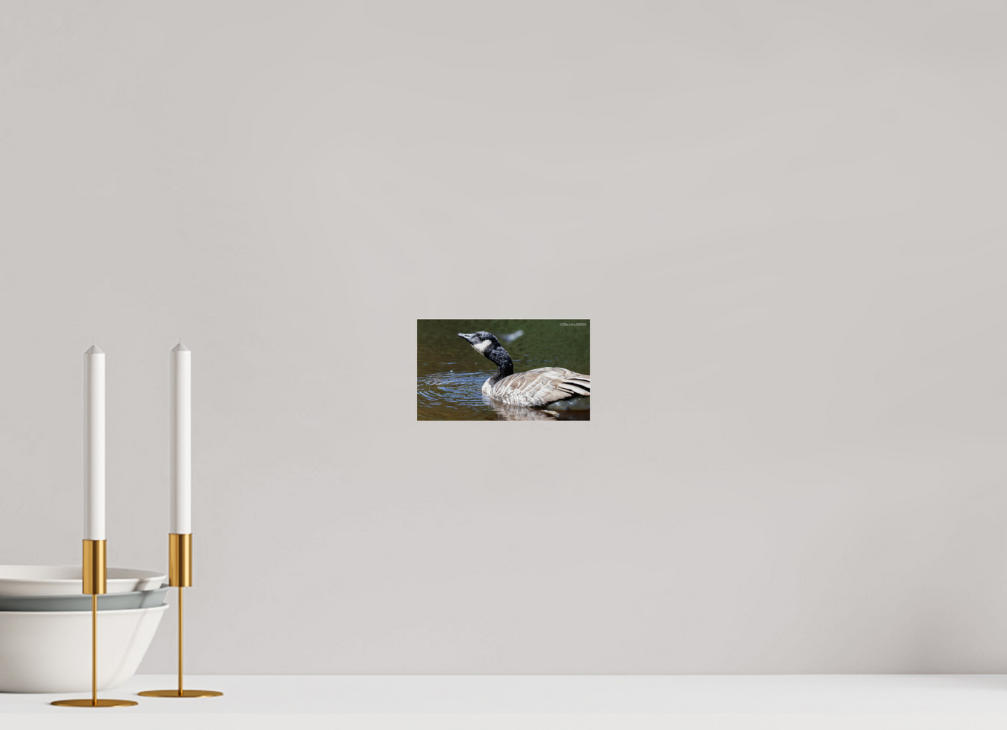 6.9 x 4″, Photo Print Under Acrylic Glass Zillas Zoom Image 315