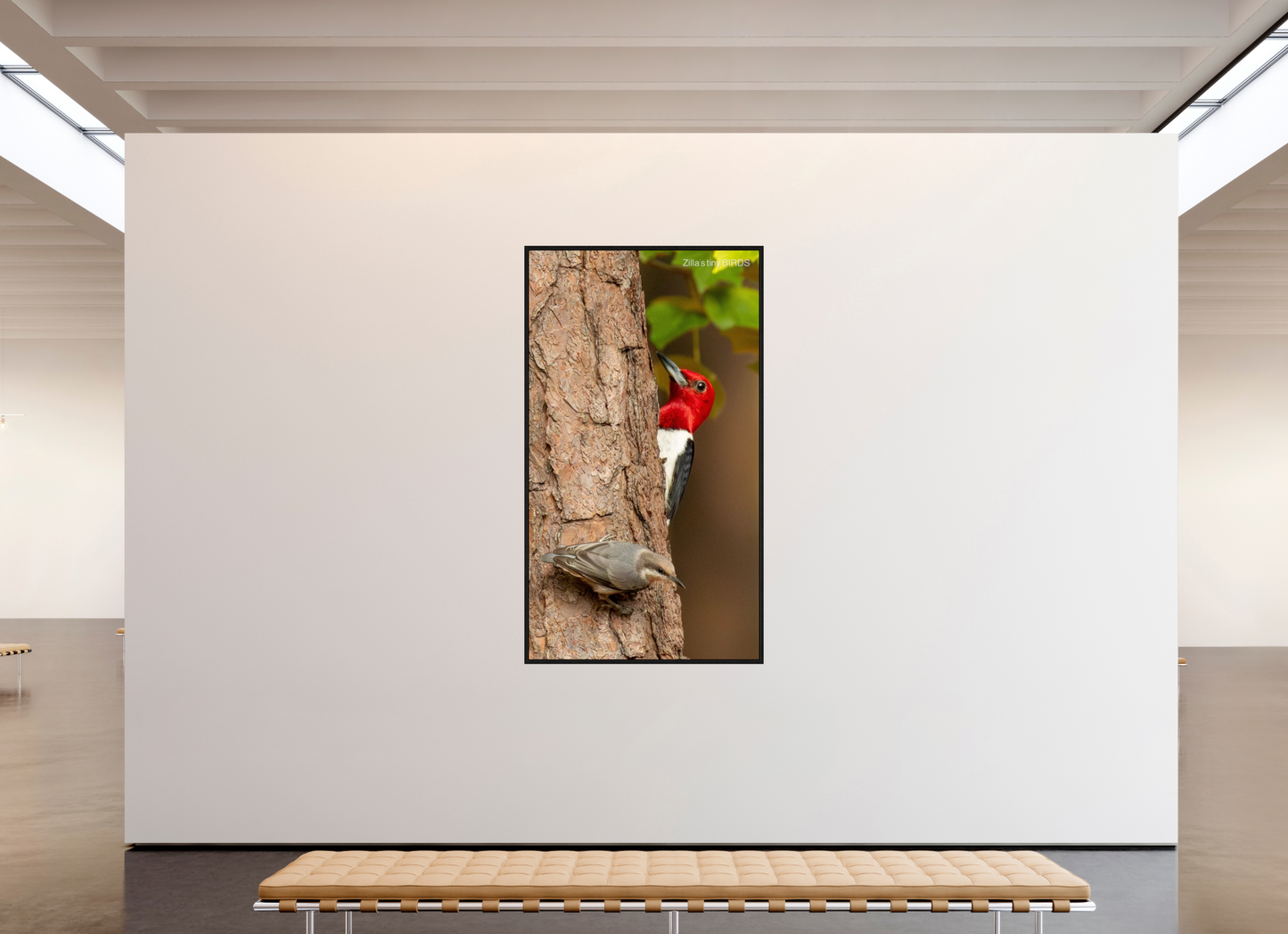 45 x 80″, Floater Frame Zillas Zoom Image 490