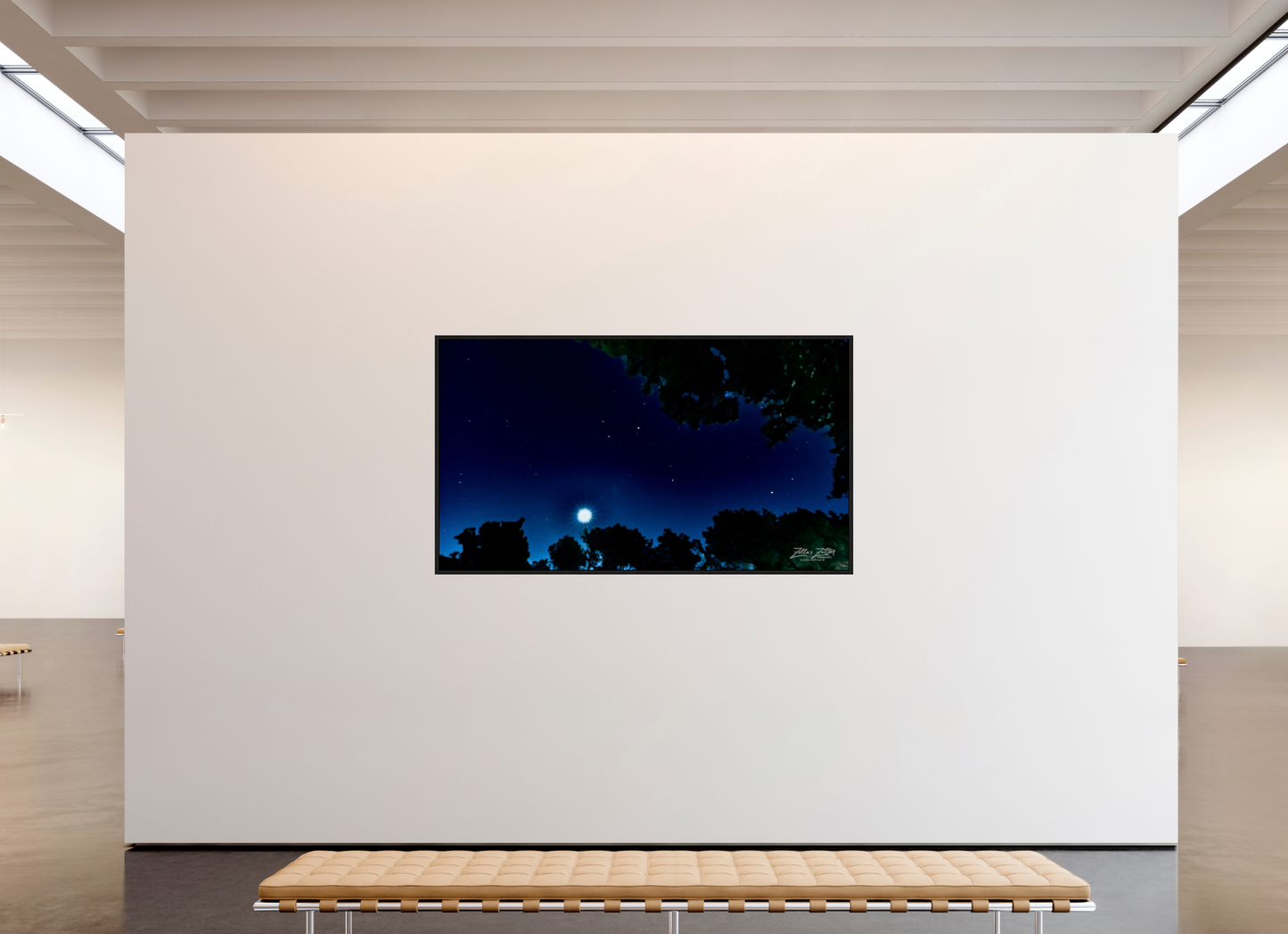 80 x 45″, Floater Frame Zillas zoom image 119