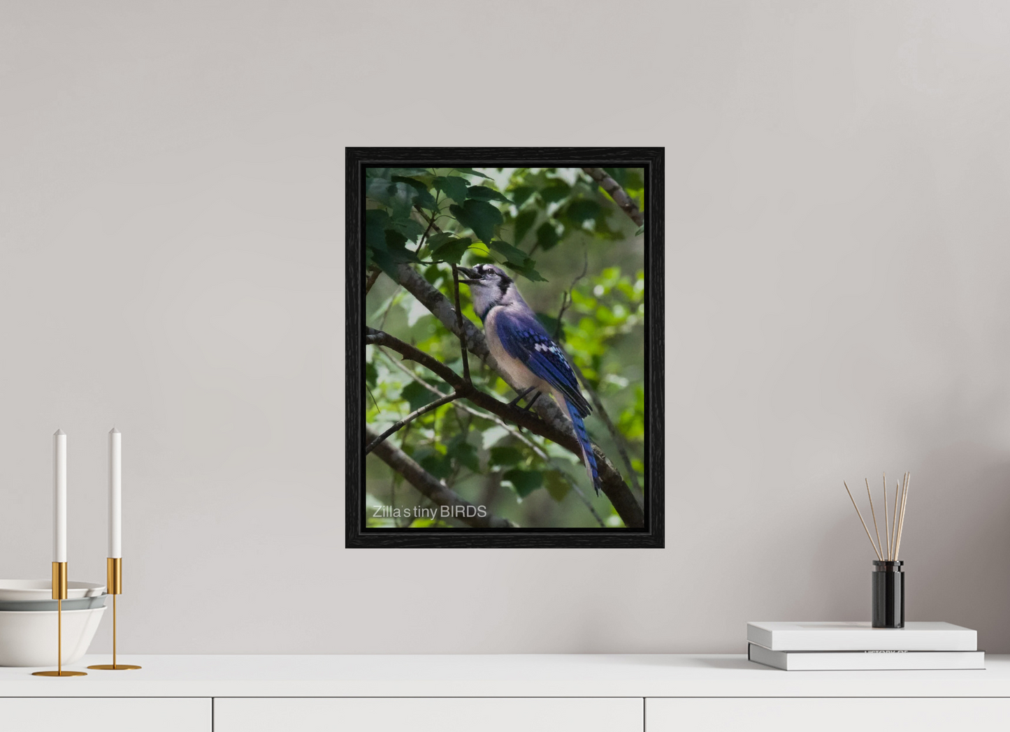 12 x 15.6″, Floater Frame Zillas Zoom Image 469