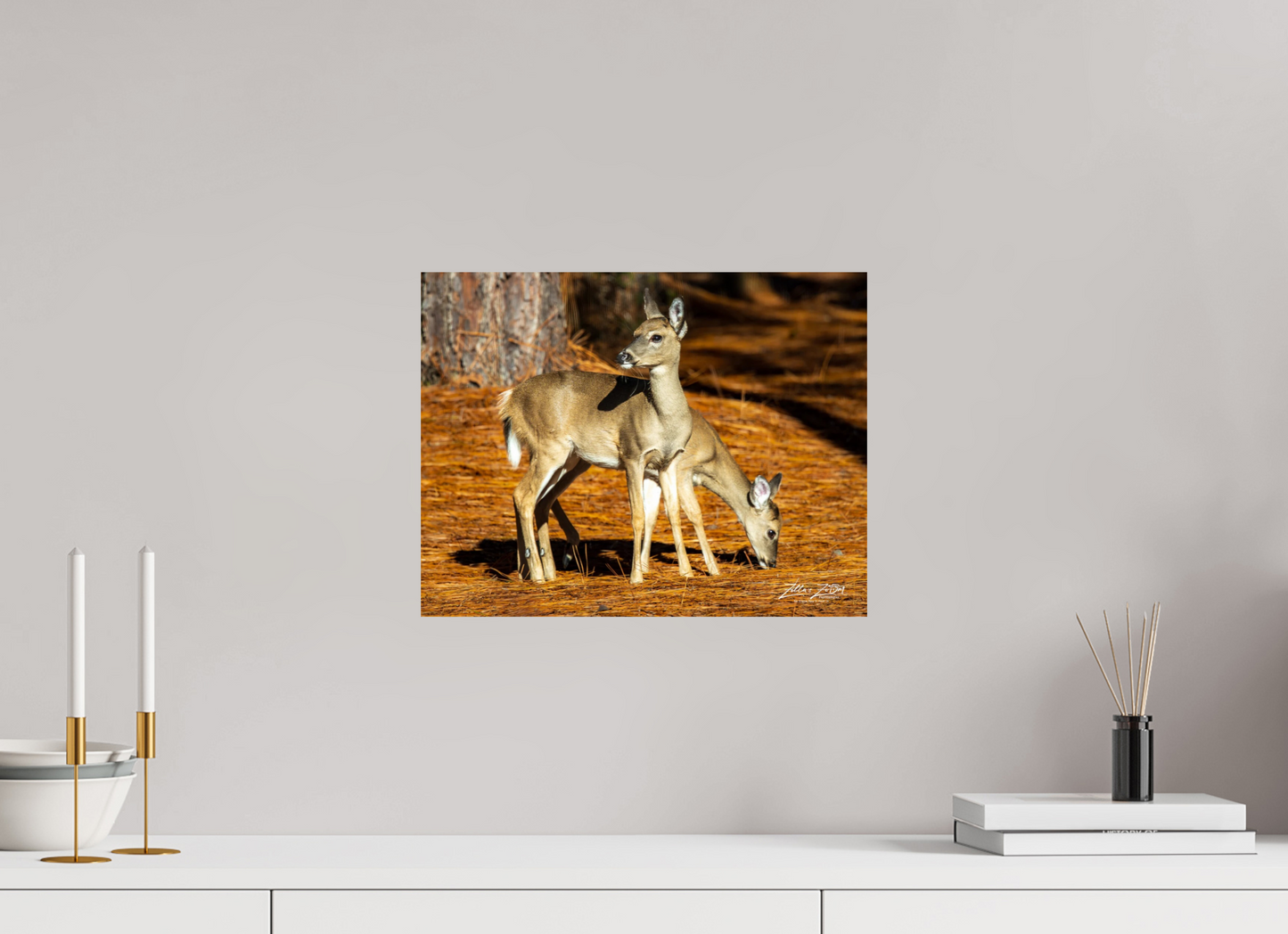 15.6 x 12″, Photo Print On Fuji Crystal DP II Zillas zoom image 144