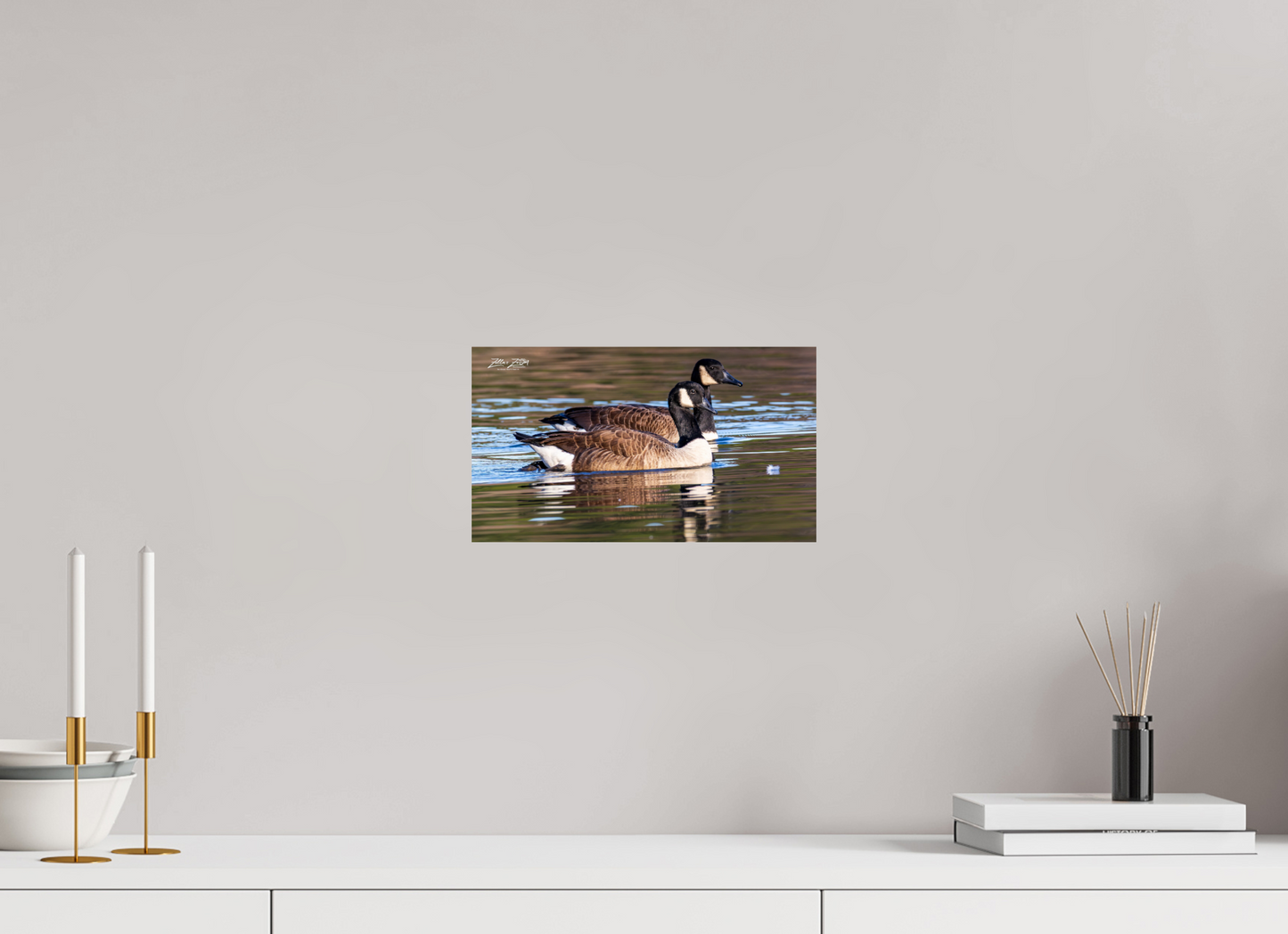 12 x 6.8″, Photo Print On Fuji Crystal DP II Zillas Zoom Image 279